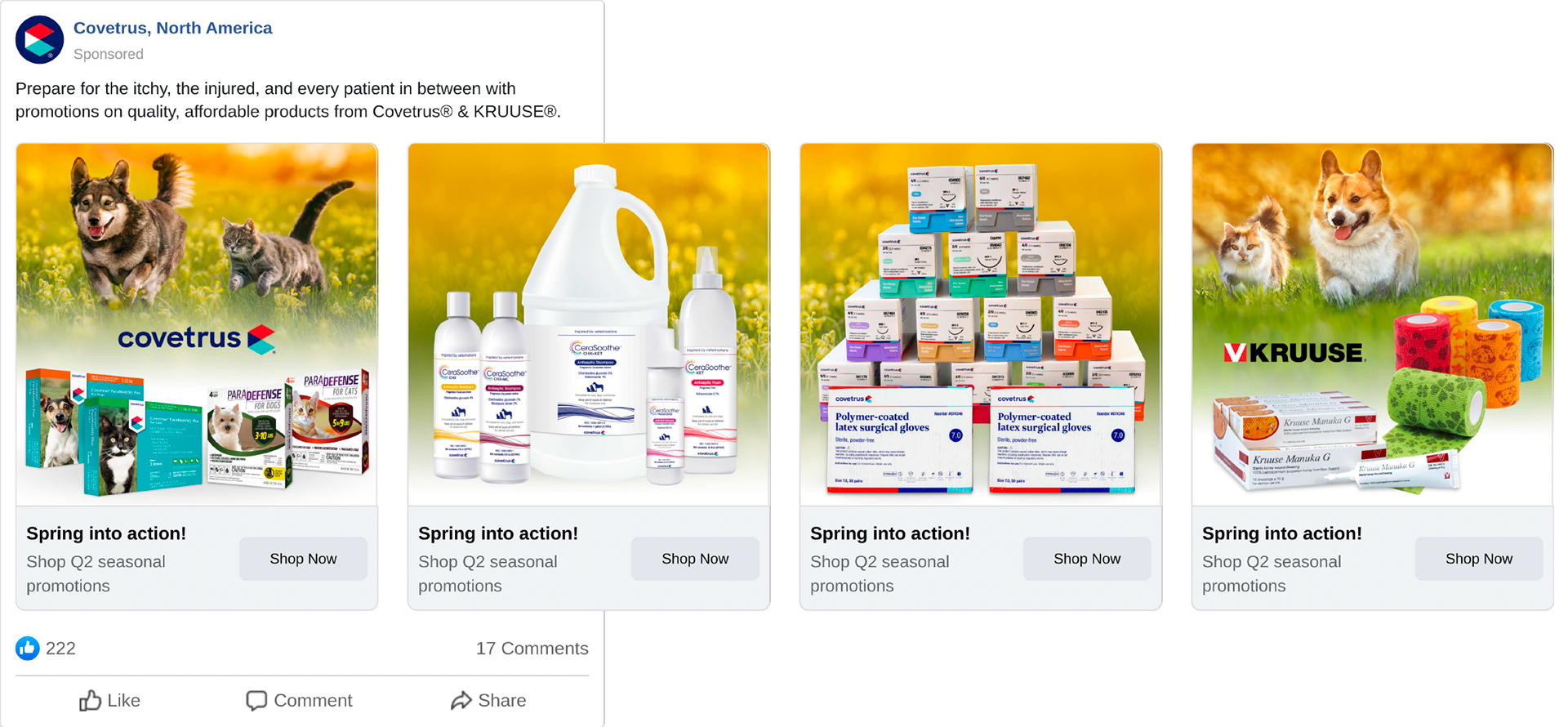 PAID SOCIAL CAROUSEL AD
