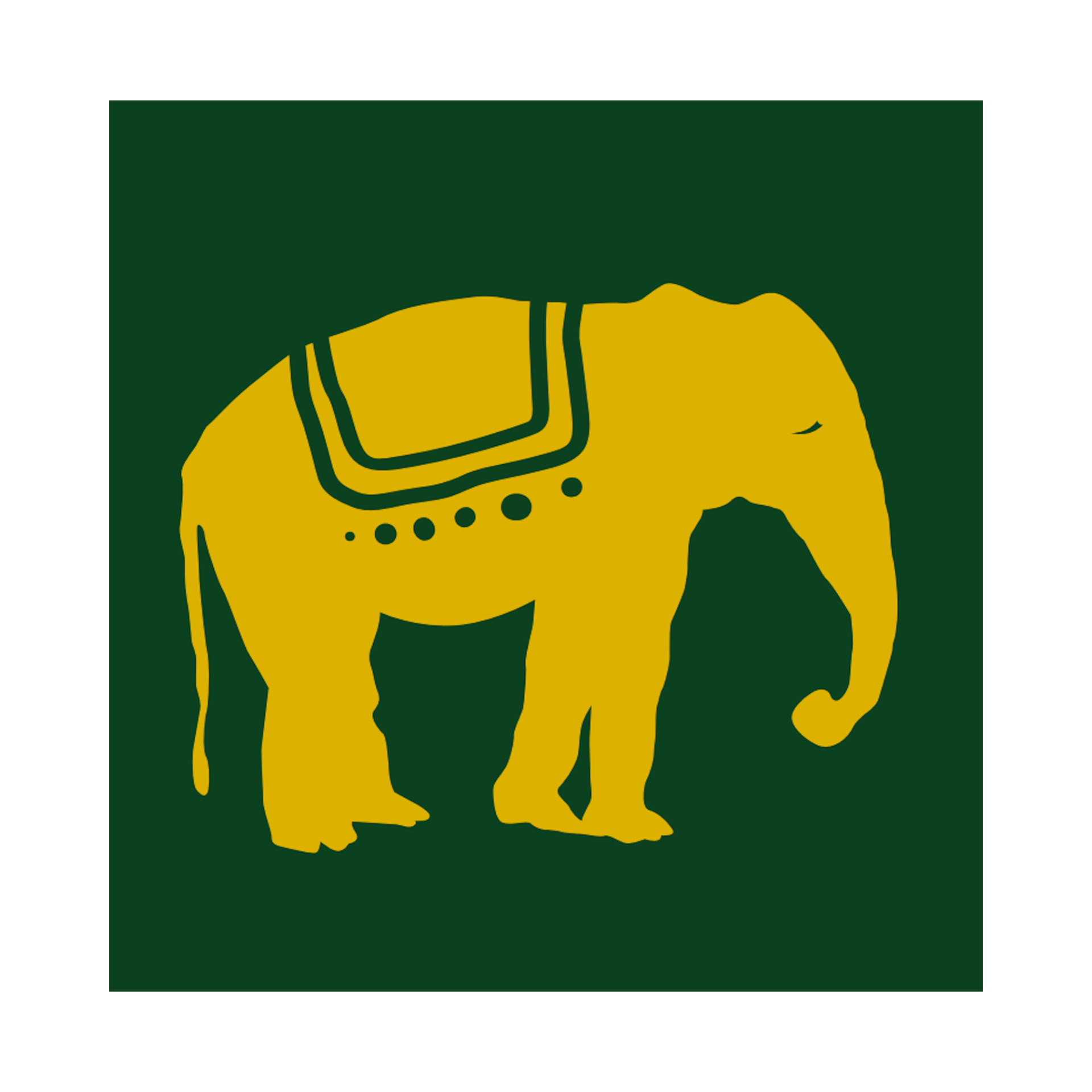 Elephant In The Room