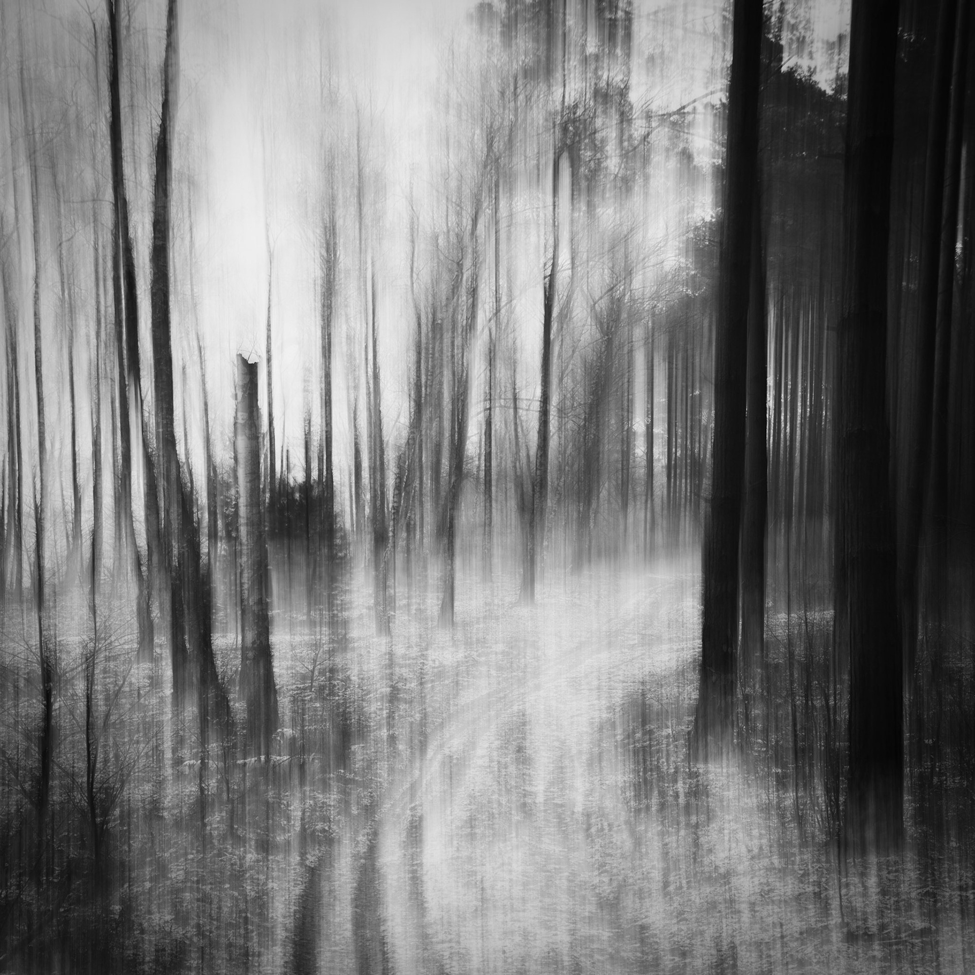 Liszkowski_EchoesOfSilence_Photograph_2022