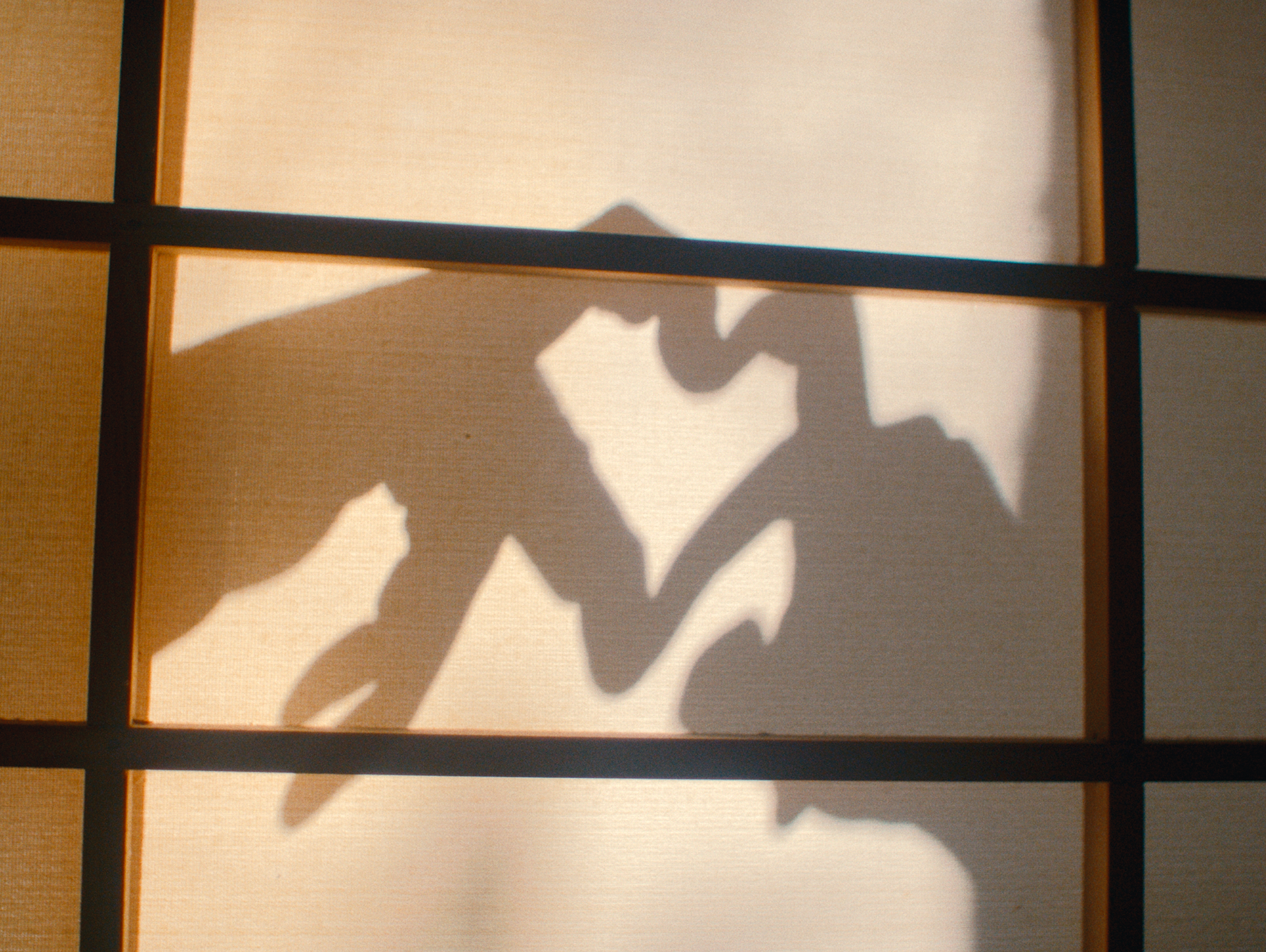 'Let There Be Light'