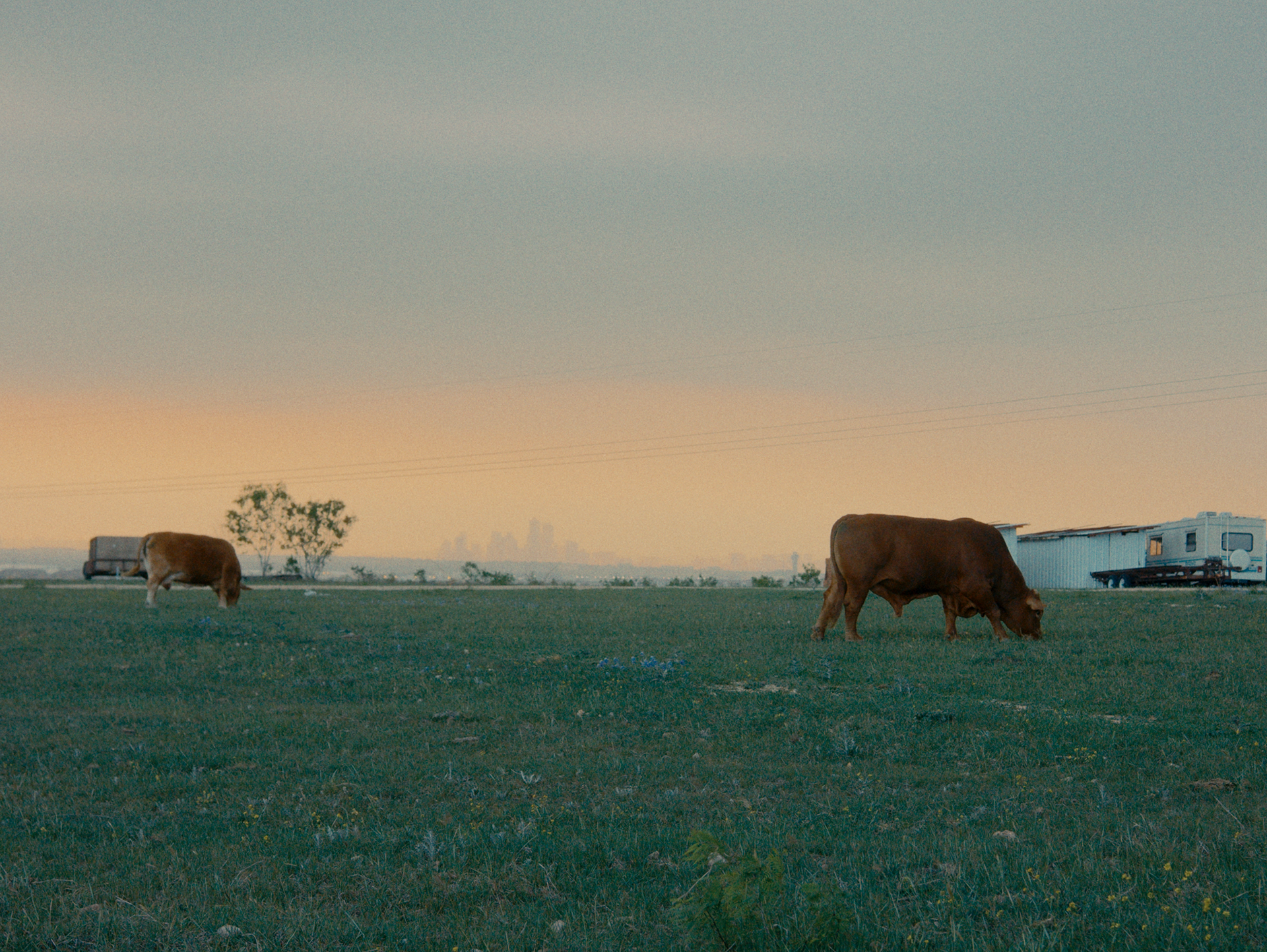 'Let There Be Light'