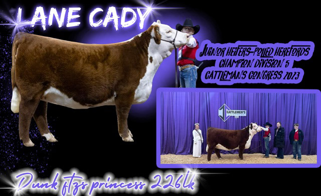 Lane Cady