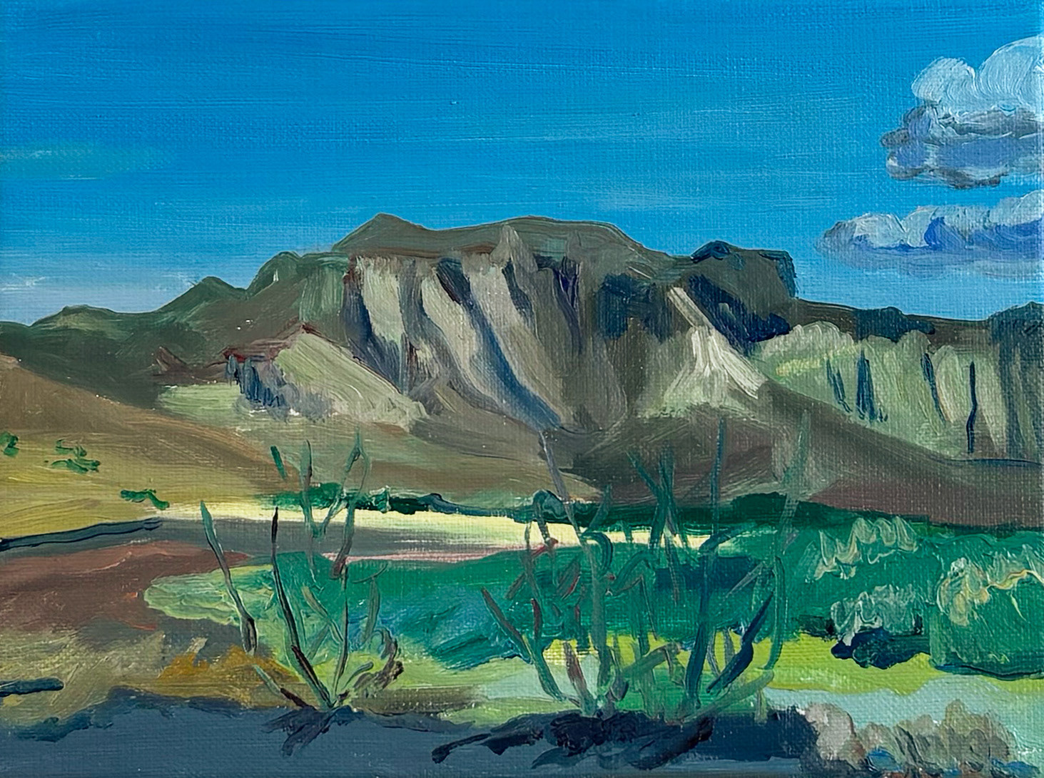Mexican Desert, oil on canvas, 18 x 24 cm