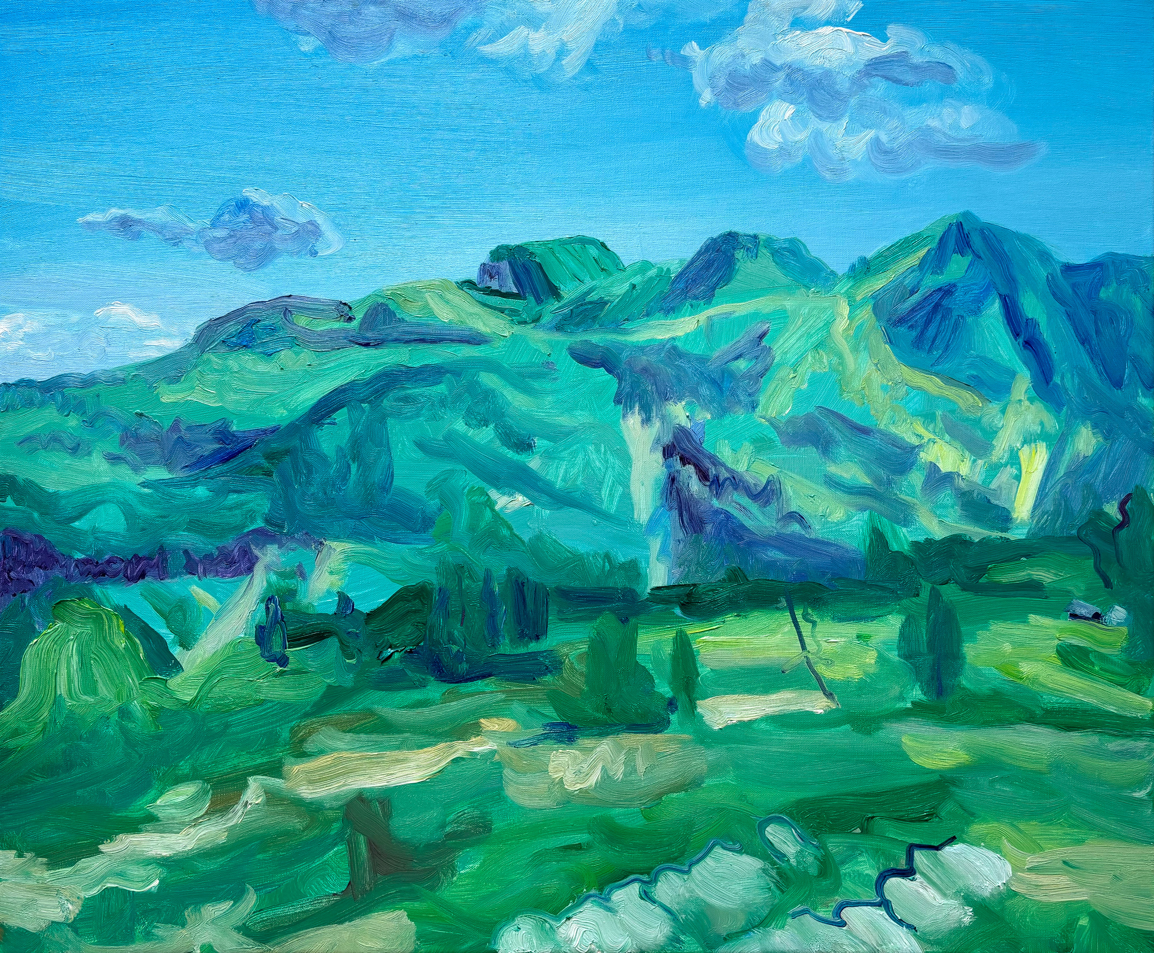 Soft Spot, oil on canvas, 50 x 60 cm