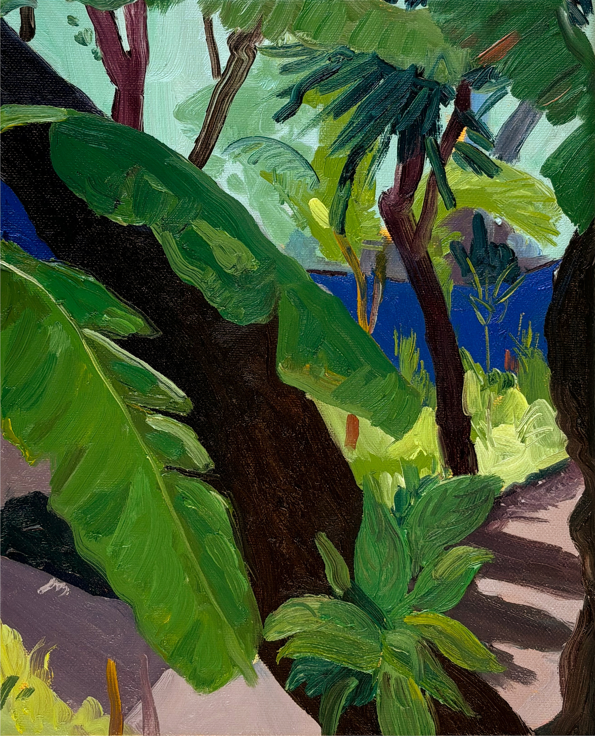 Frida Kahlo's Garden, oil on canvas, 24 x 30 cm