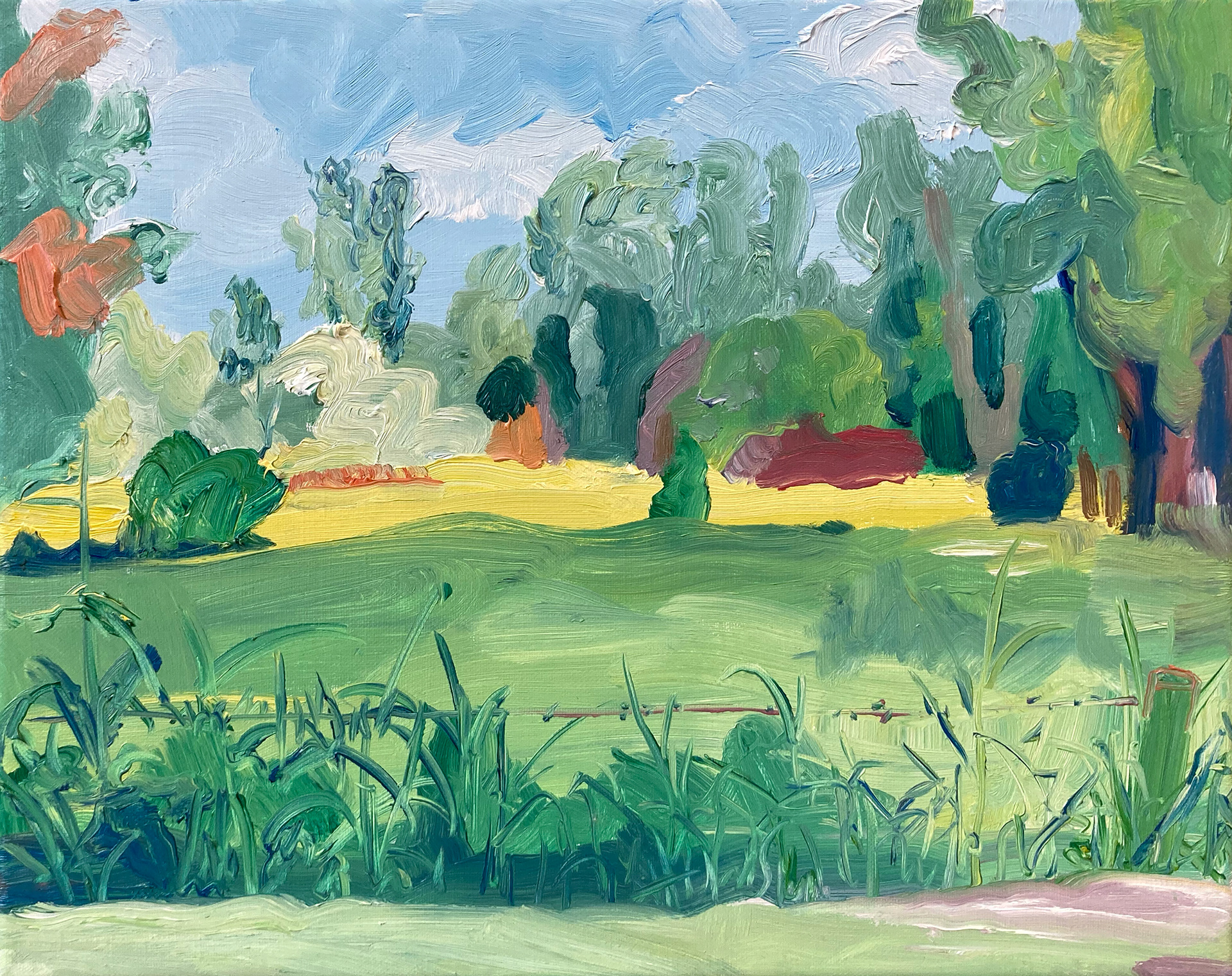 In the Backyard, olieverf op doek, 30 x 40 cm, 2021