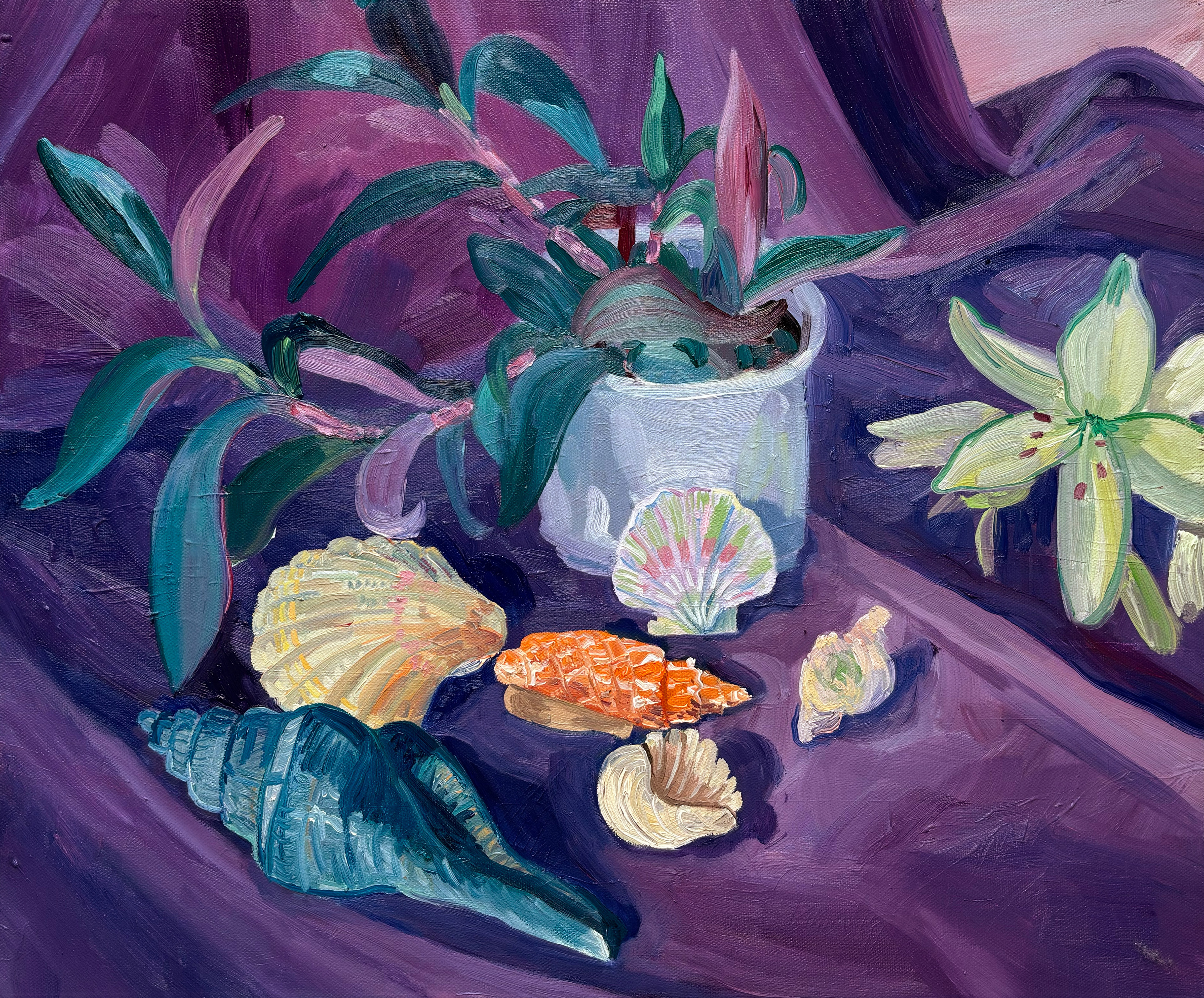 Stilleven met Plant en Schelpen, 50 x 60 cm, oil on canvas