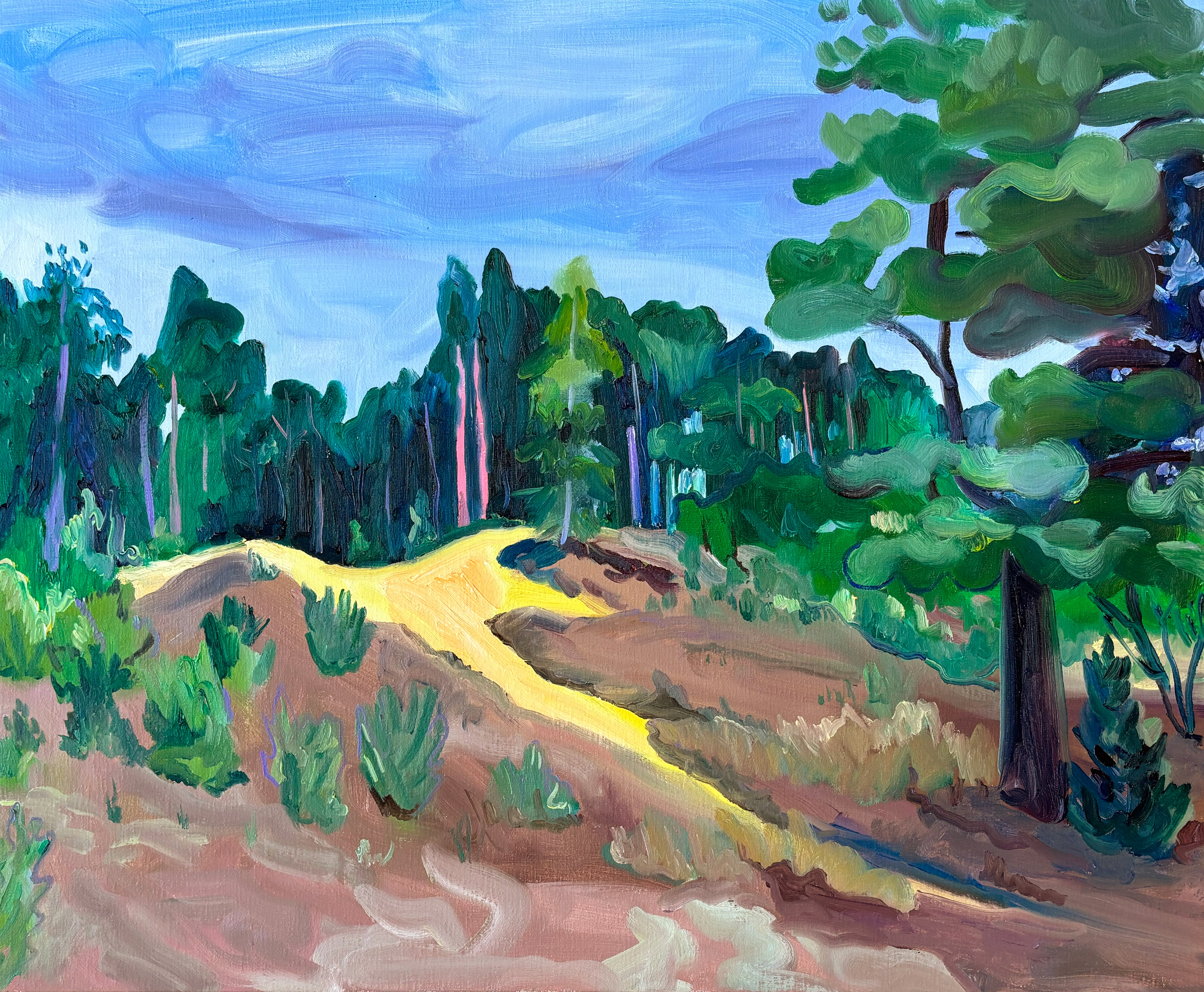 Lommelse Sahara B, oil on canvas, 70 x 85 cm