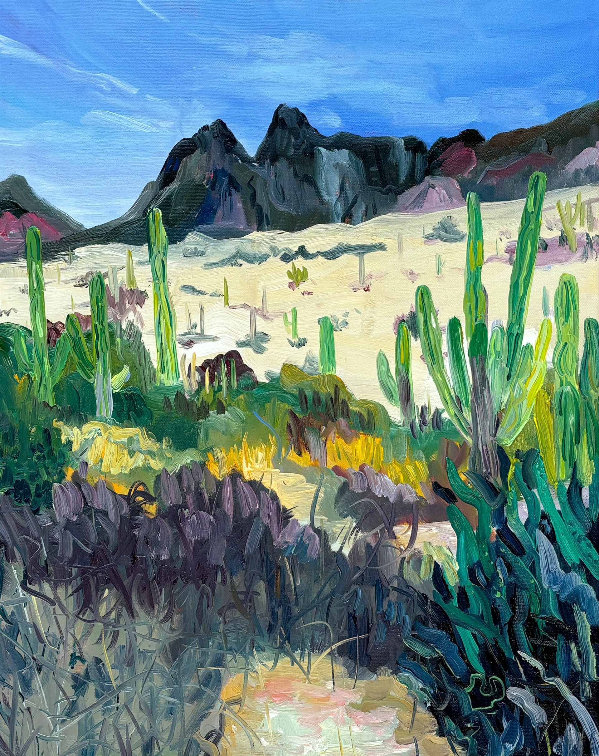 La Paz, 30 x 40 cm, oil on canvas
