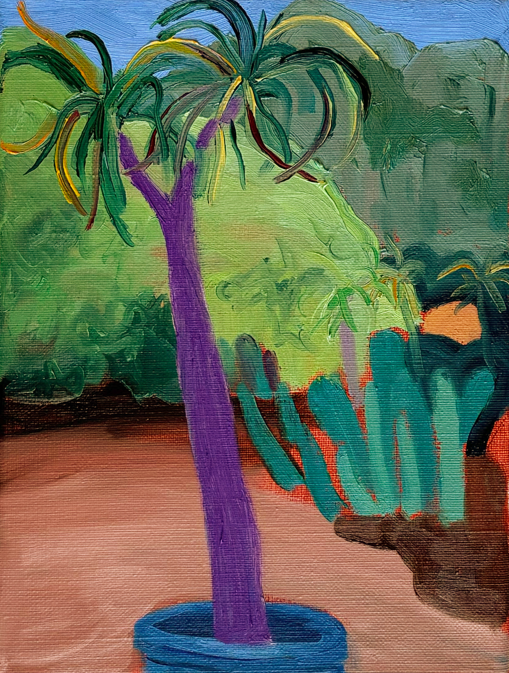 Cactus Garden, oil on canvas, 24 x 30 cm
