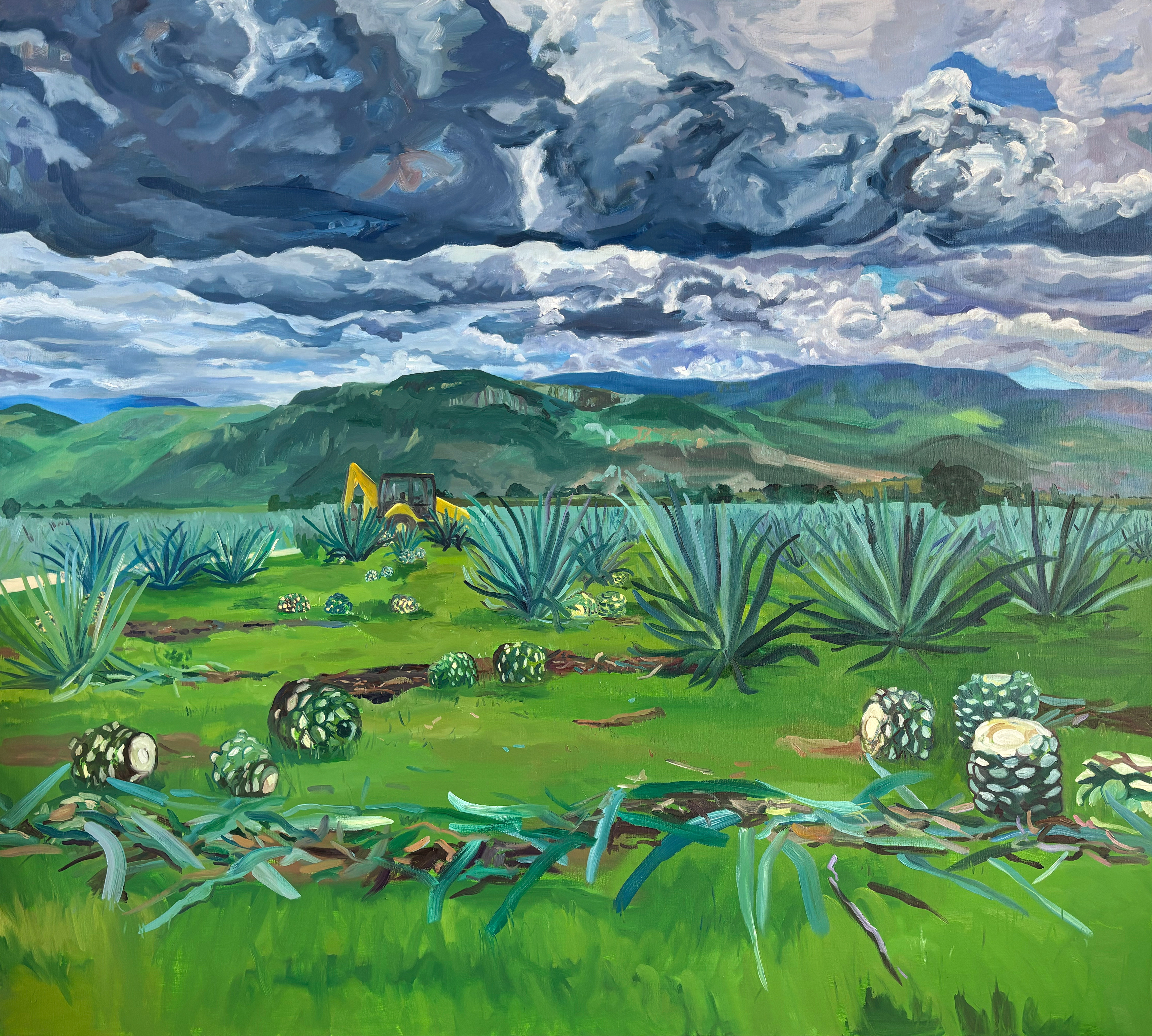 Agave Field, oil on canvas, 180 x 200 cm,
