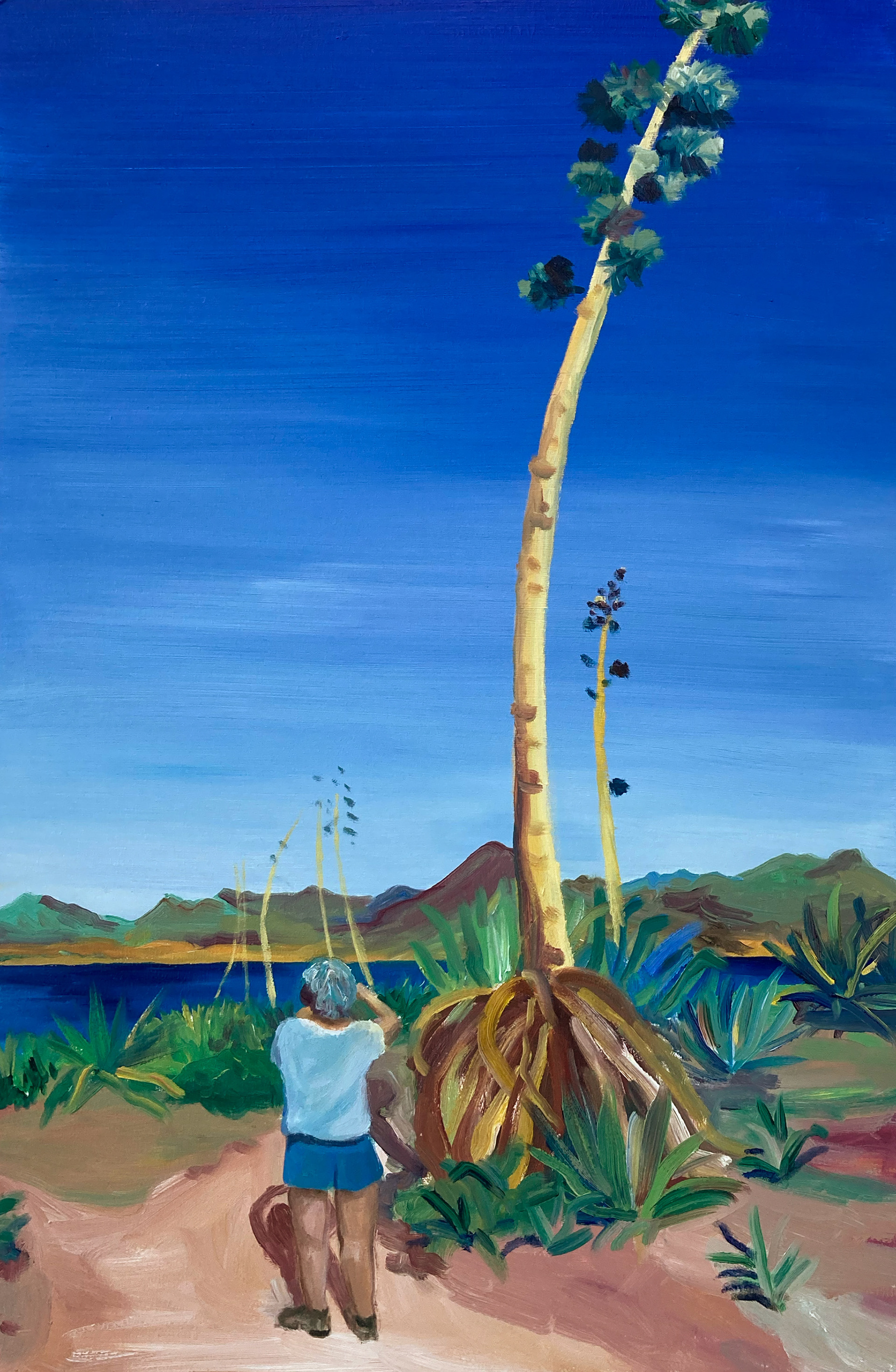 Curious, oil on wood, 40 x 61 cm, 2022