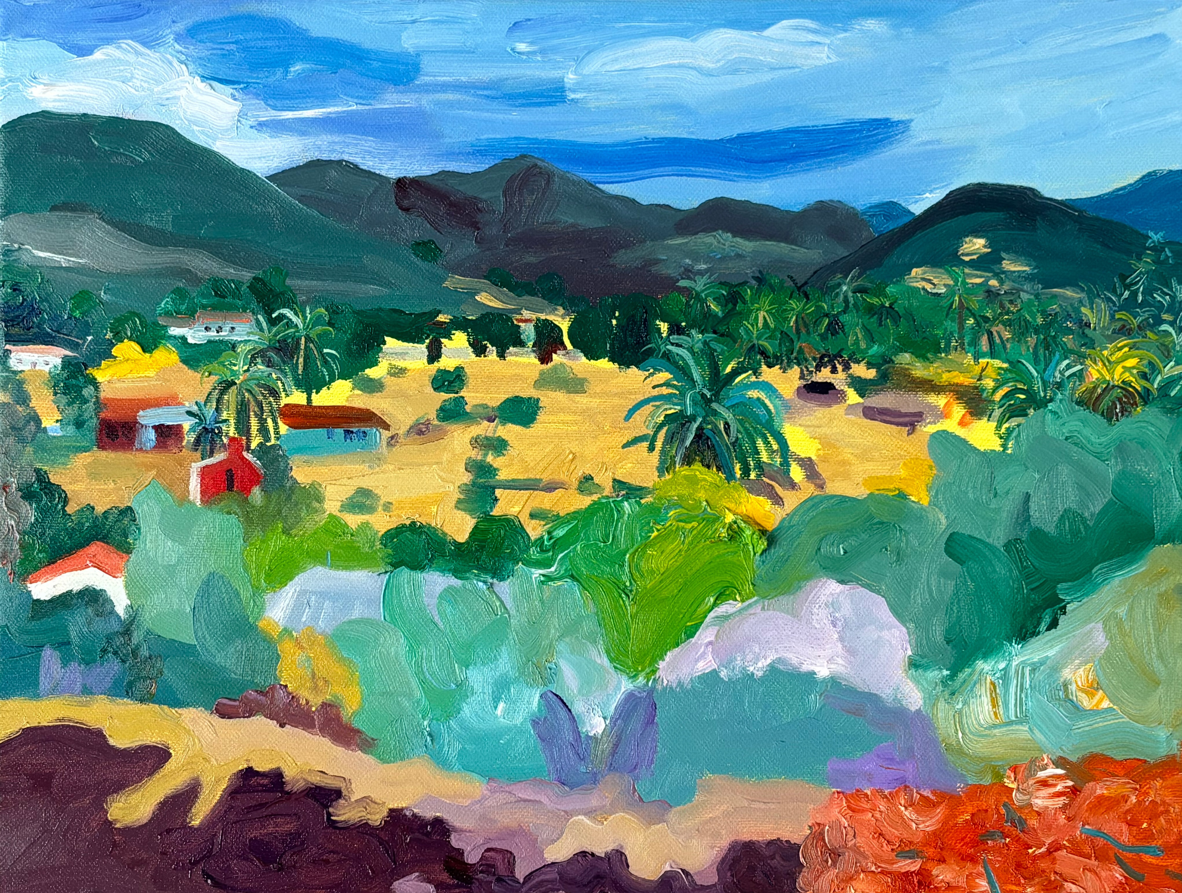 Valley, 30 x 40 cm, oil on canvas
