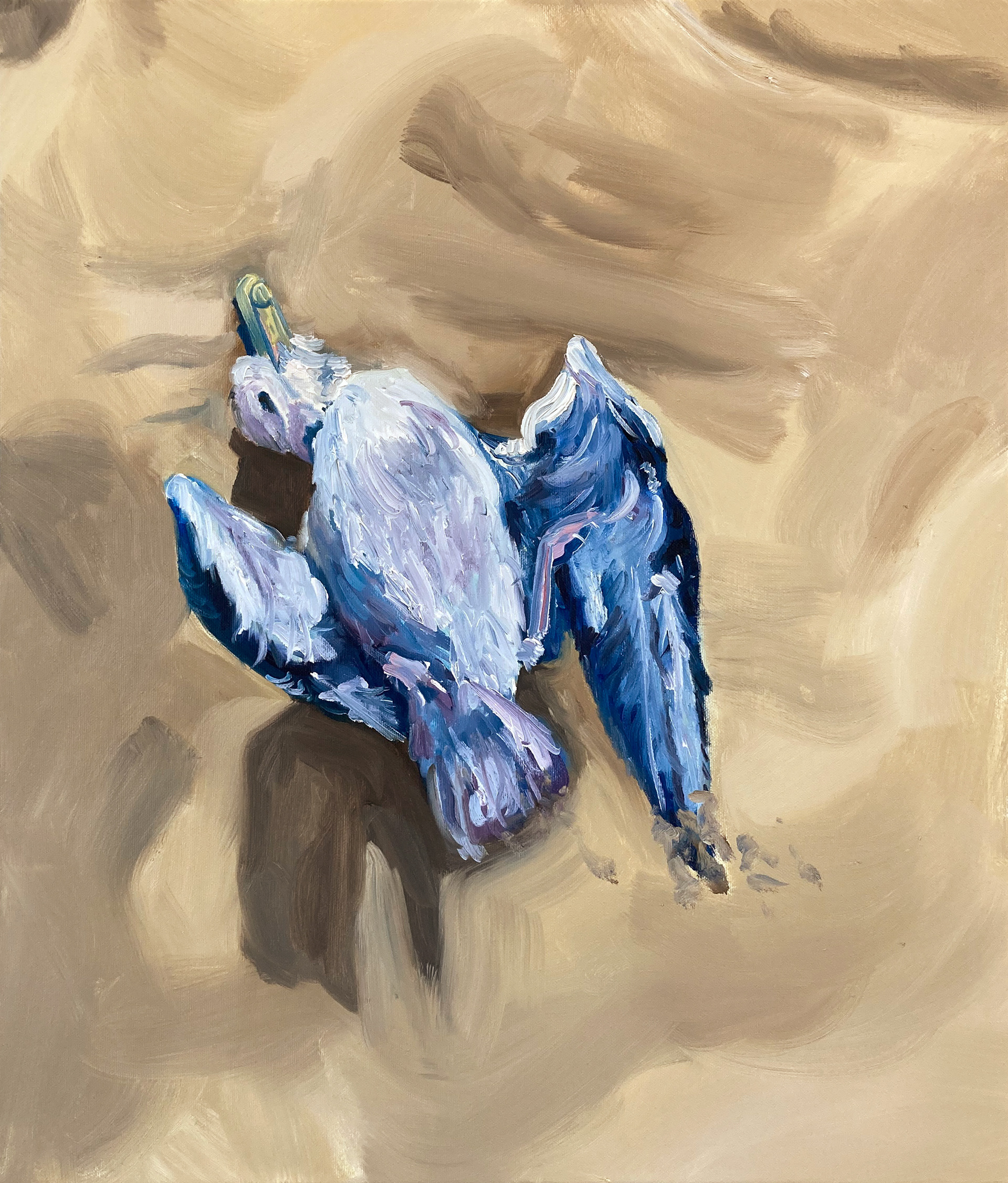 Meeuw, oil on canvas, 50 x 60 cm, 2023