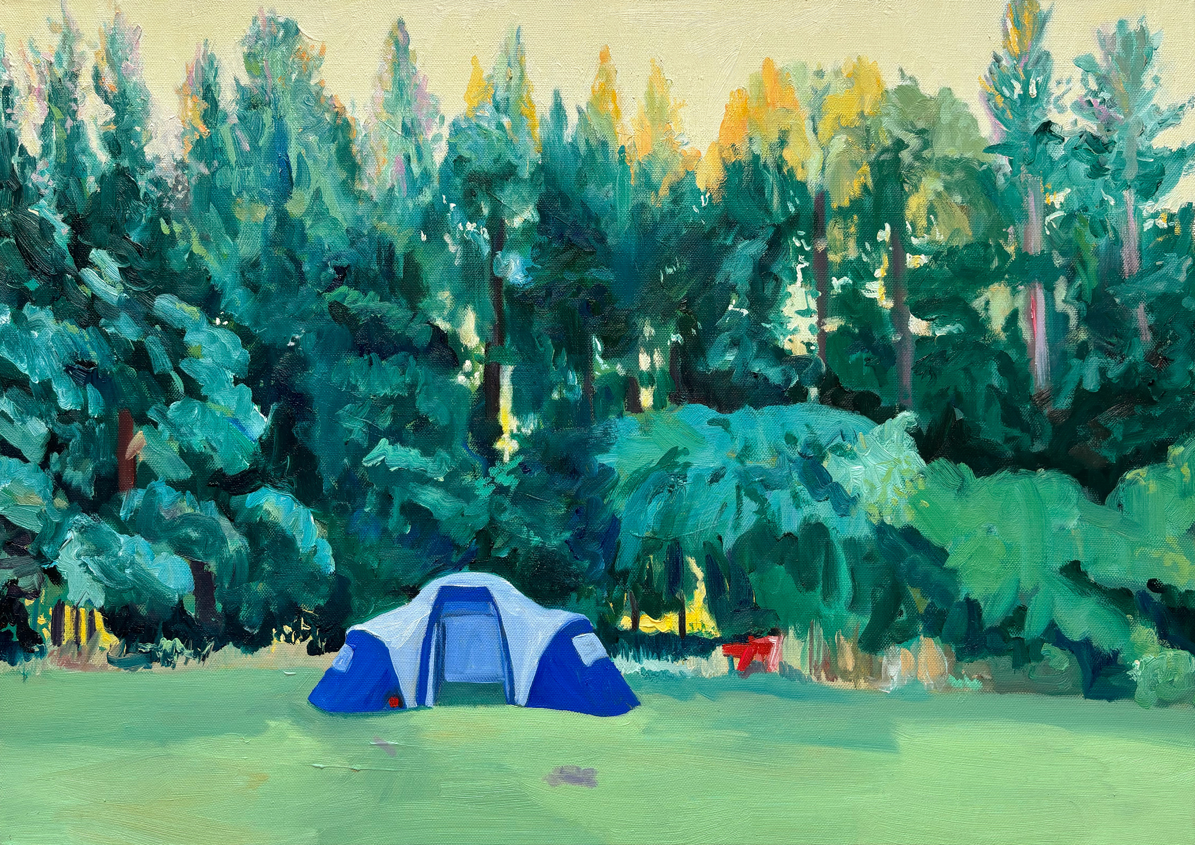 Avondgloed, 50 x 80 cm, oil on canvas