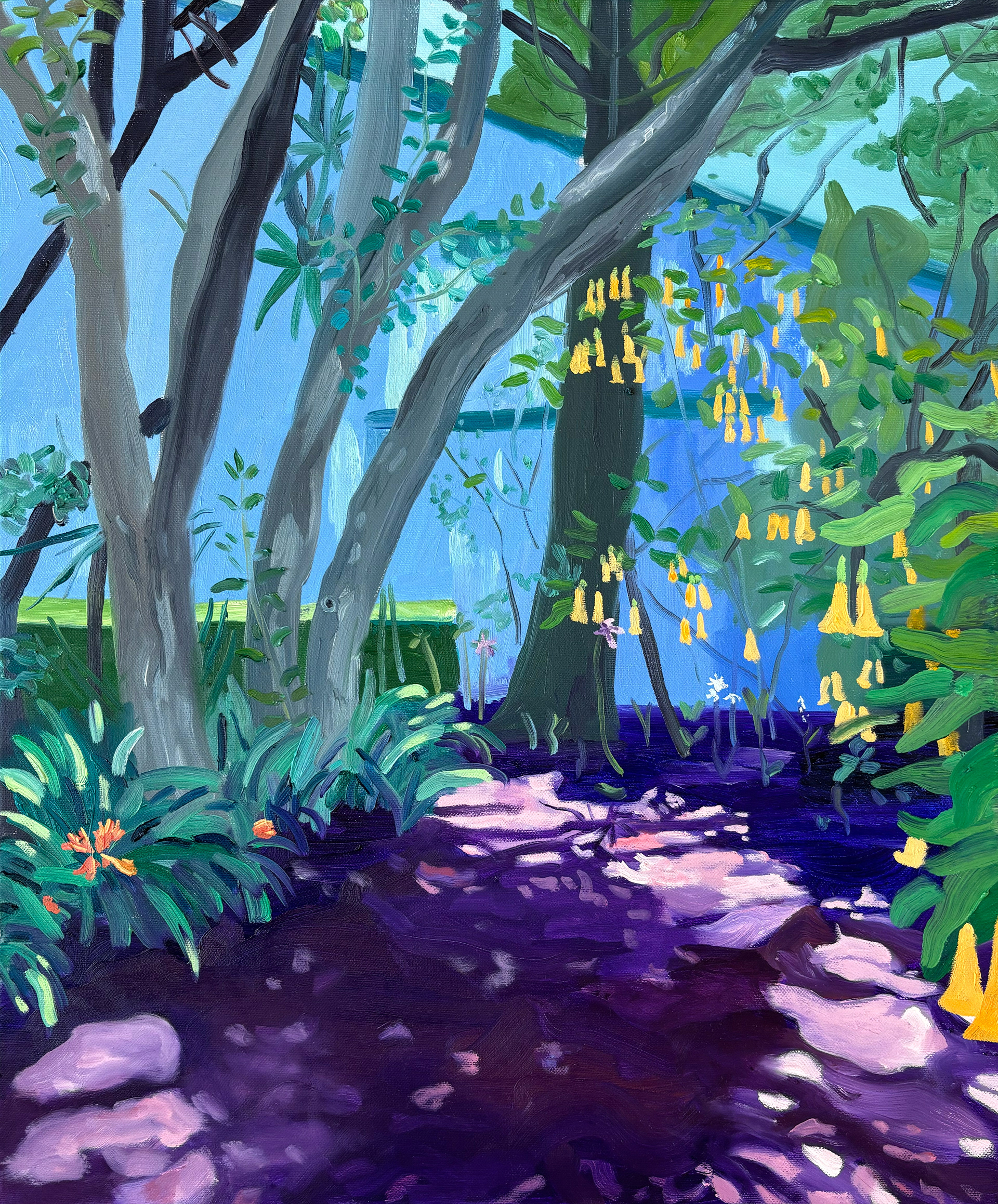 Louis Barragan's Garden, oil on canvas, 50 x 60 cm