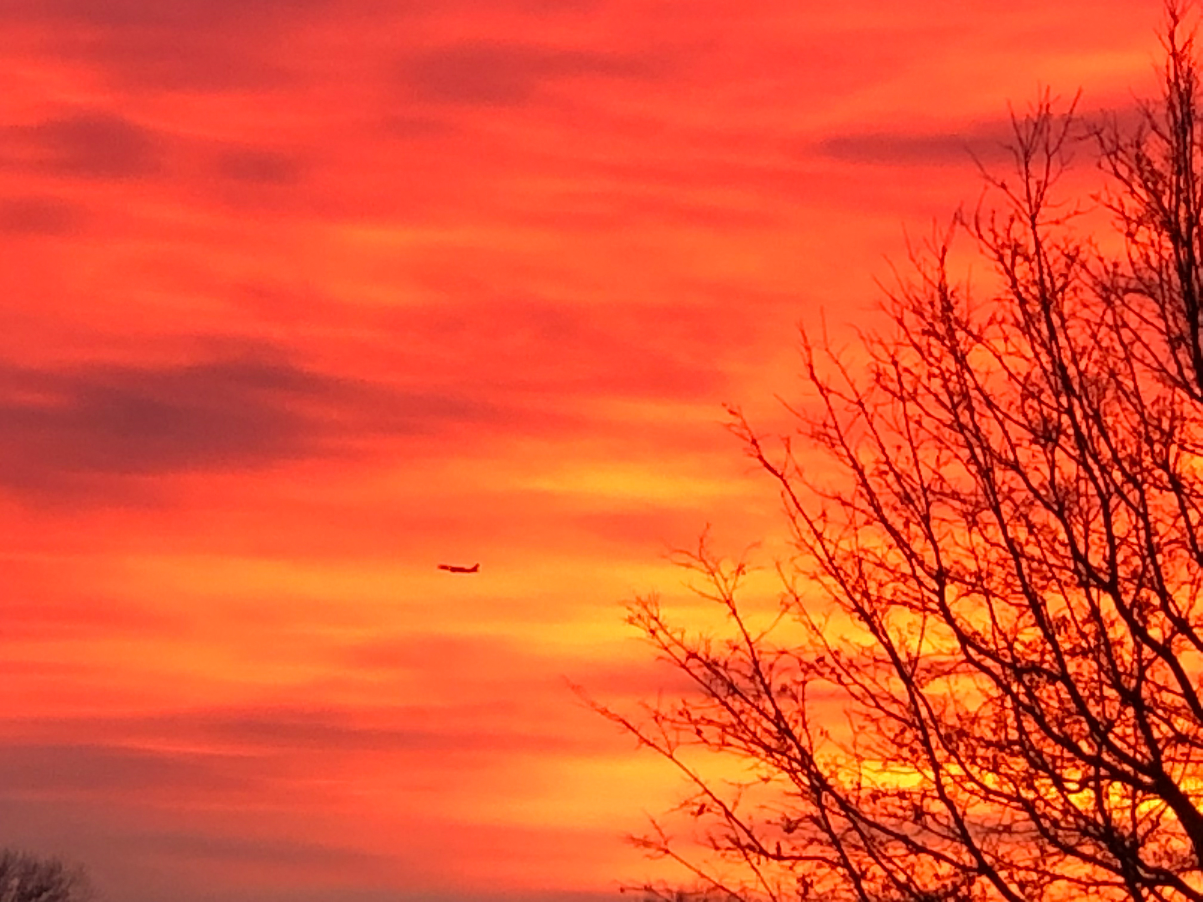 Orange Flight - CB,  Iowa