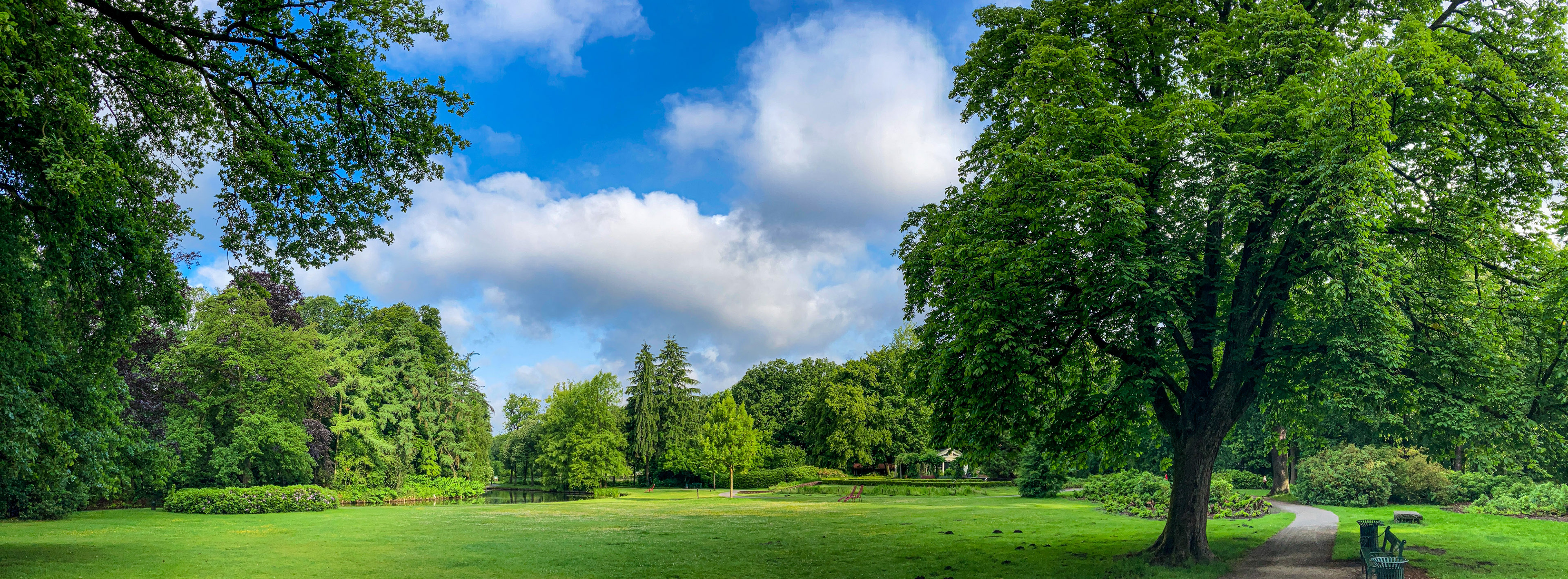 Groen, blauw en wolken - Enschede - 6 juni 2025