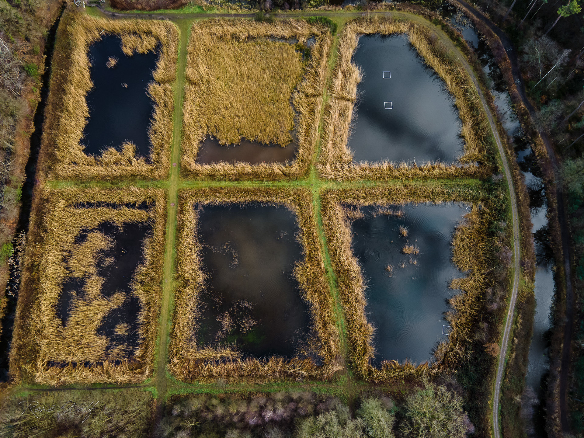 Vloeivelden Lankheet