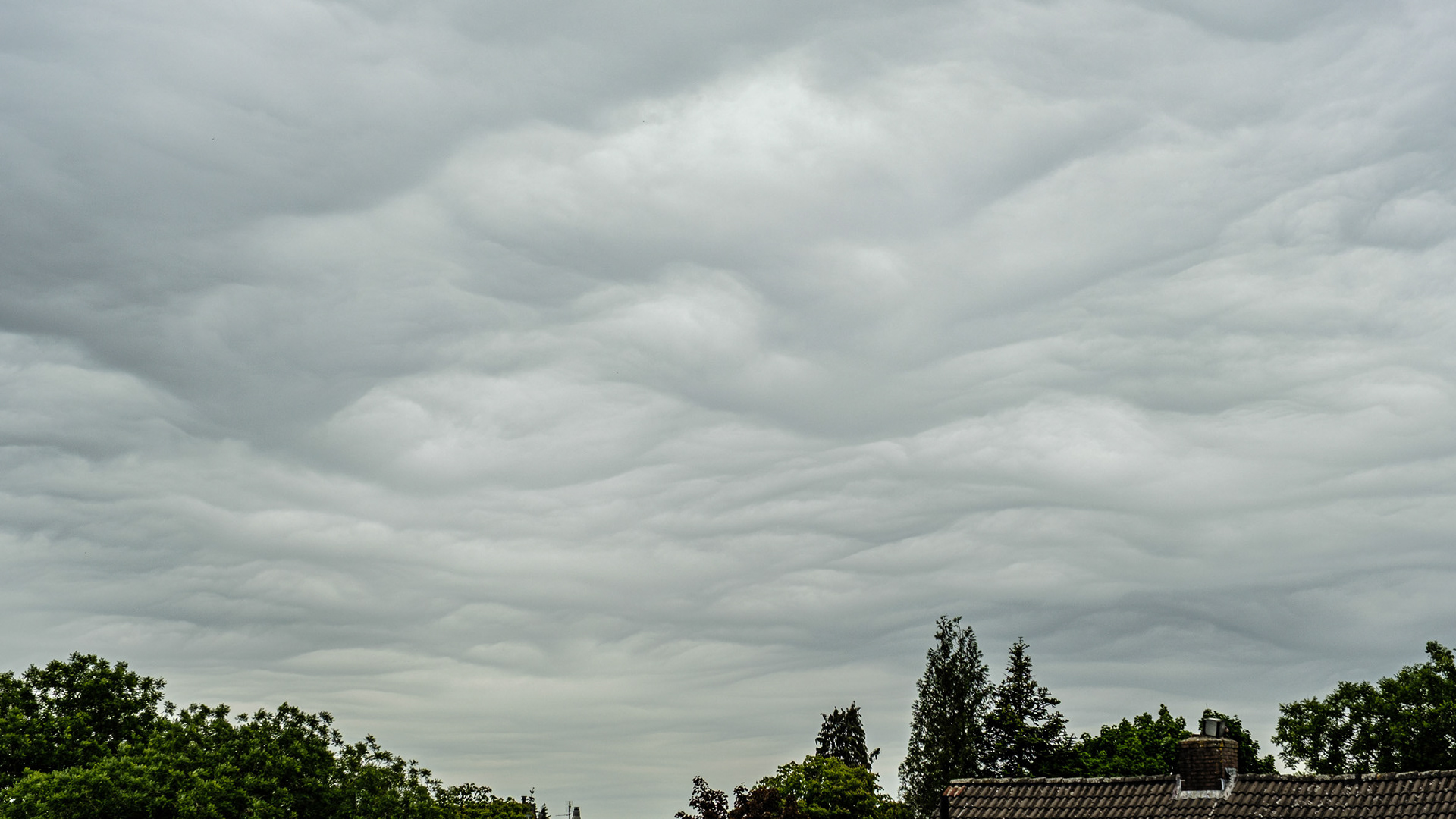 Asperitas - 24 mei 2025
