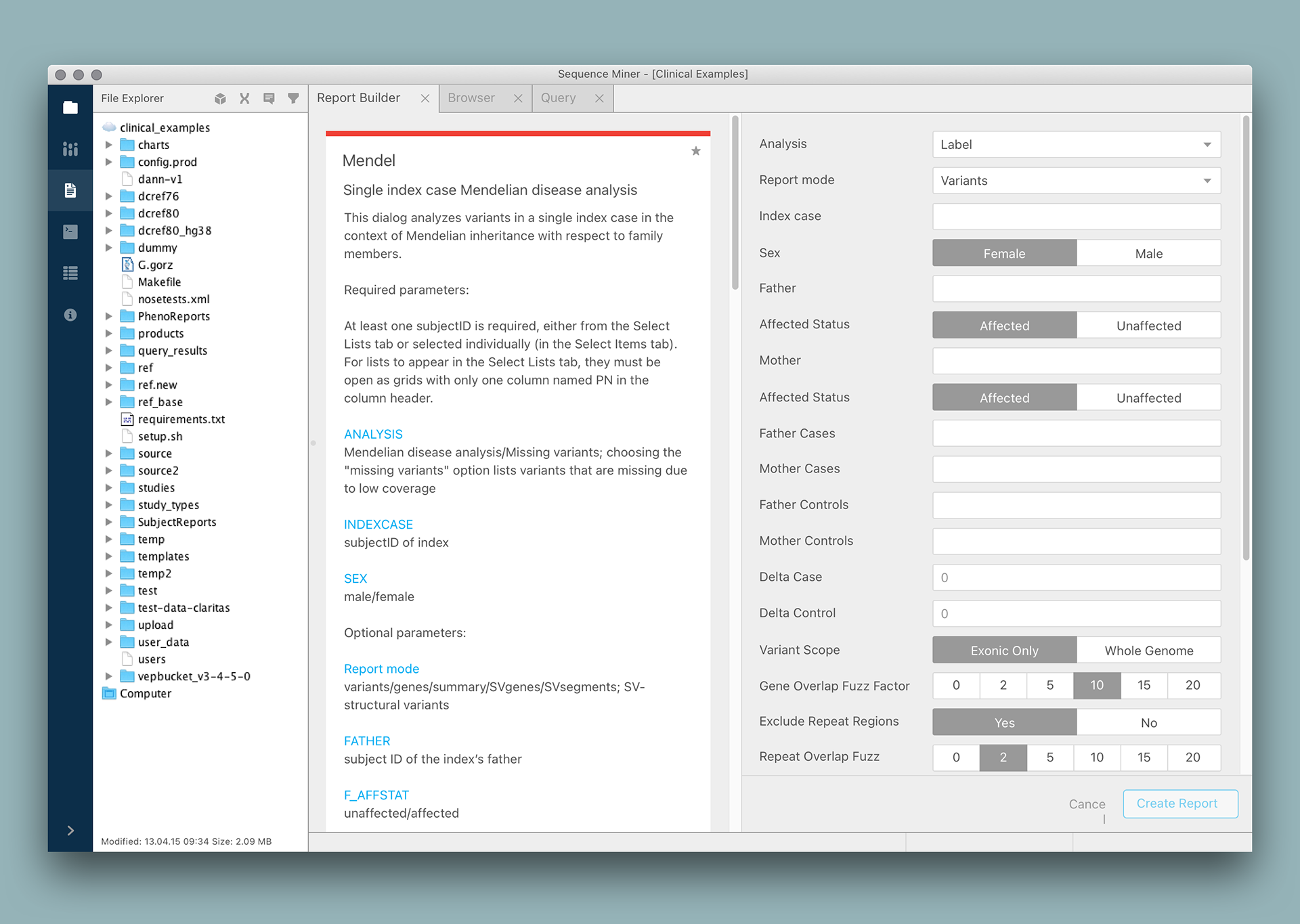 Report Builder (window)
