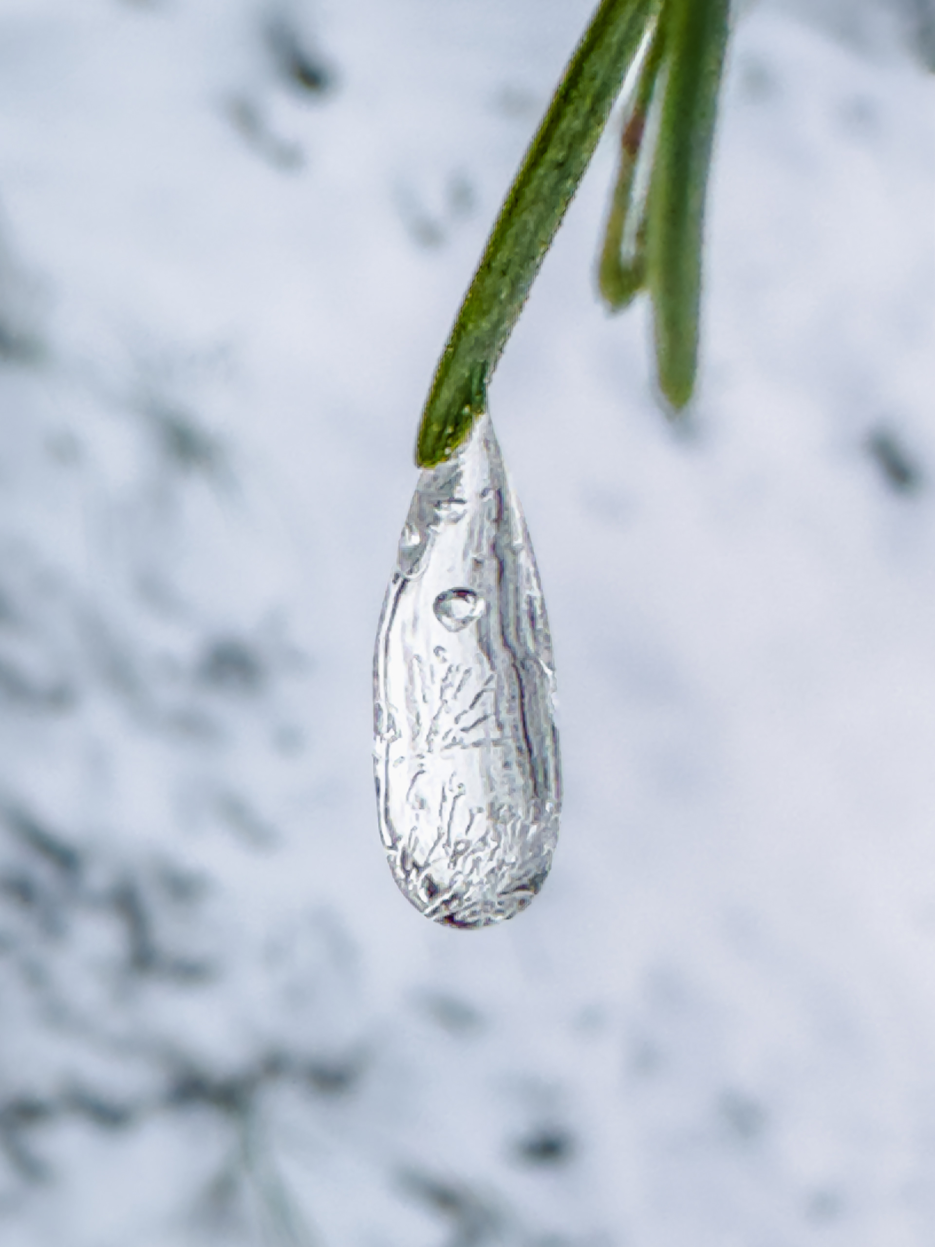 Eis an Nadel am 16.02.2025