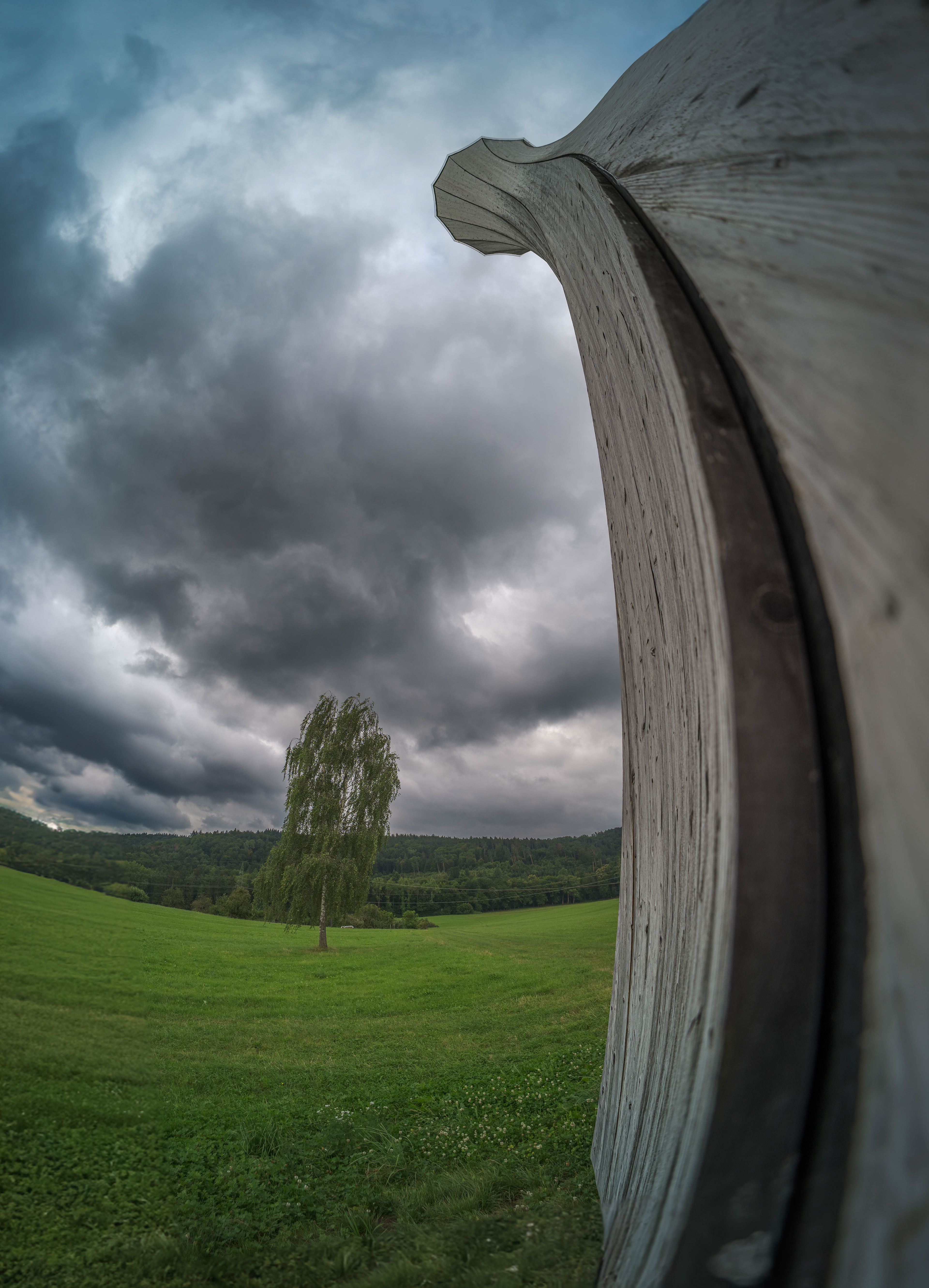 Turm verneigt sich vor der Birke am 02.08.2024 bei Urbach