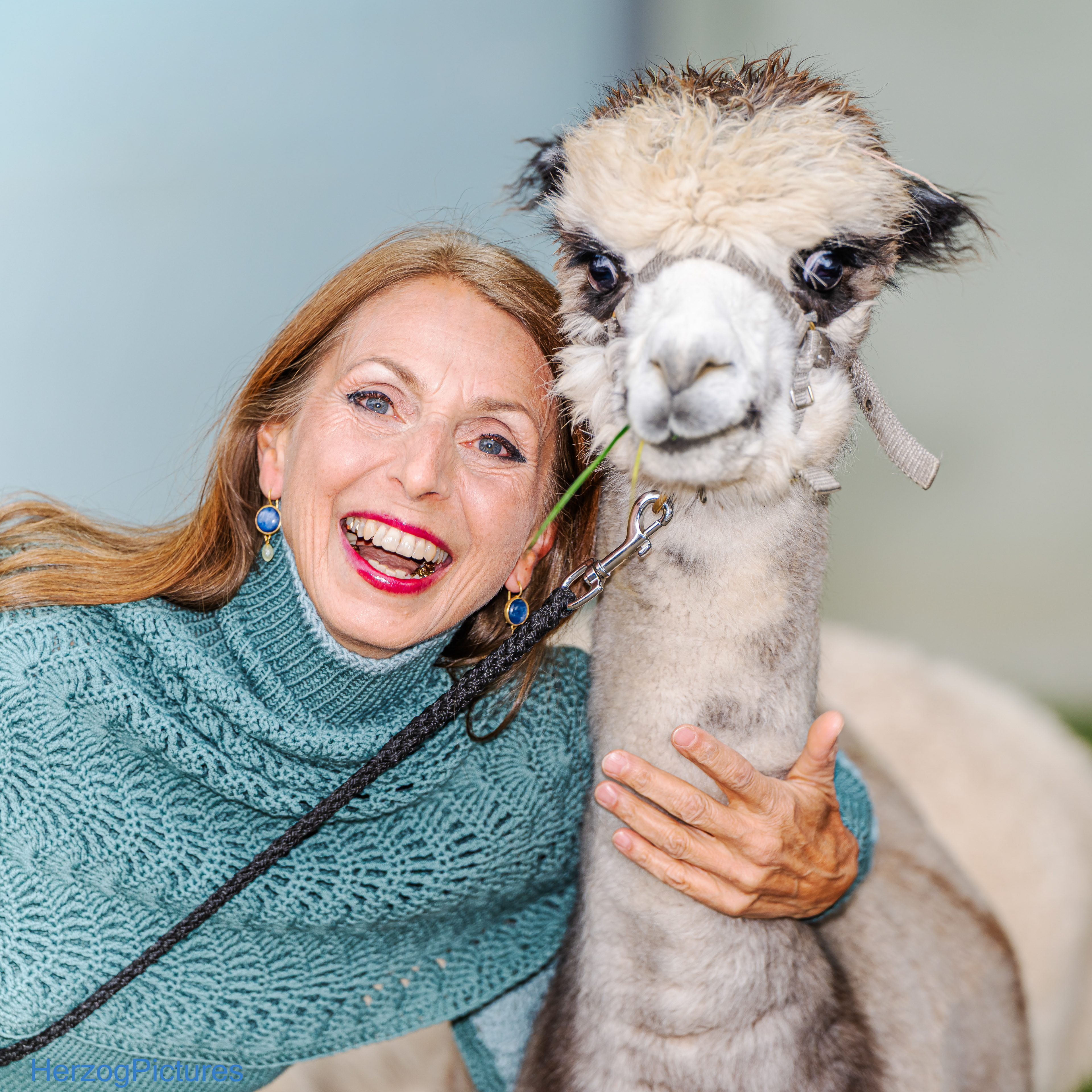 /. Wollfest Backnang mit Lanasalta