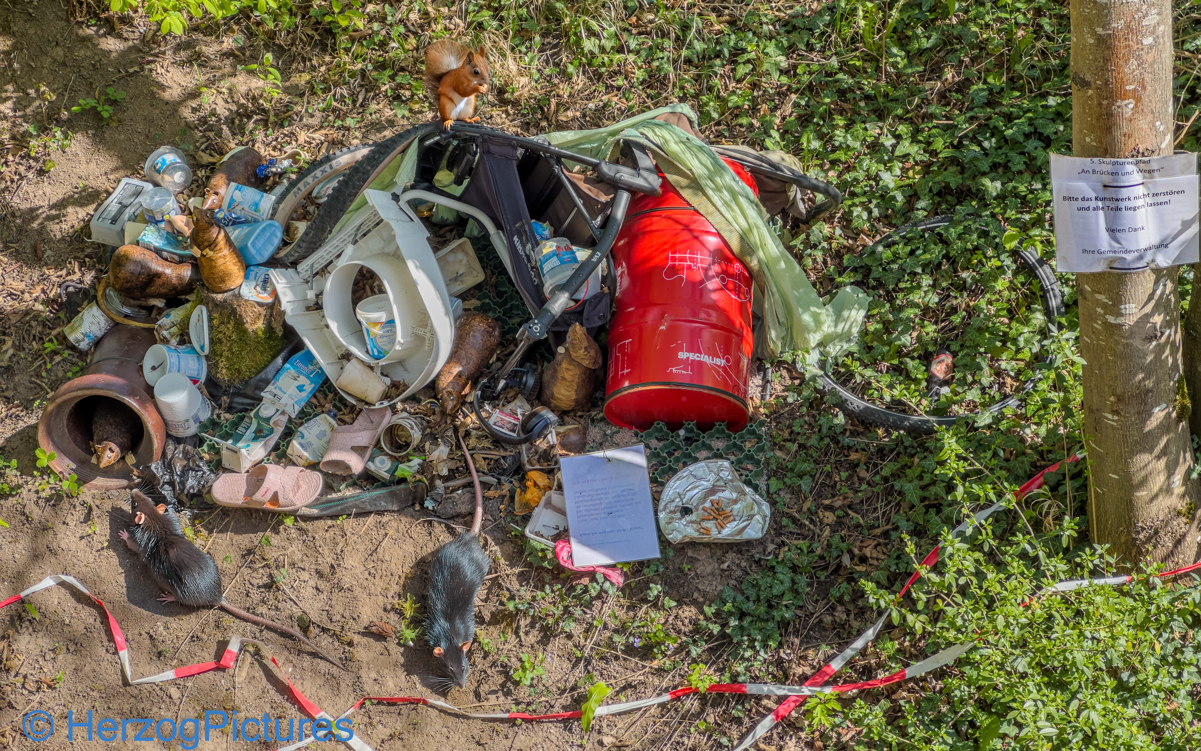 Skulpturenpfad  Weissach 2025 - Das rote Faß lebt und wird angenommen ... am 19.04.2025