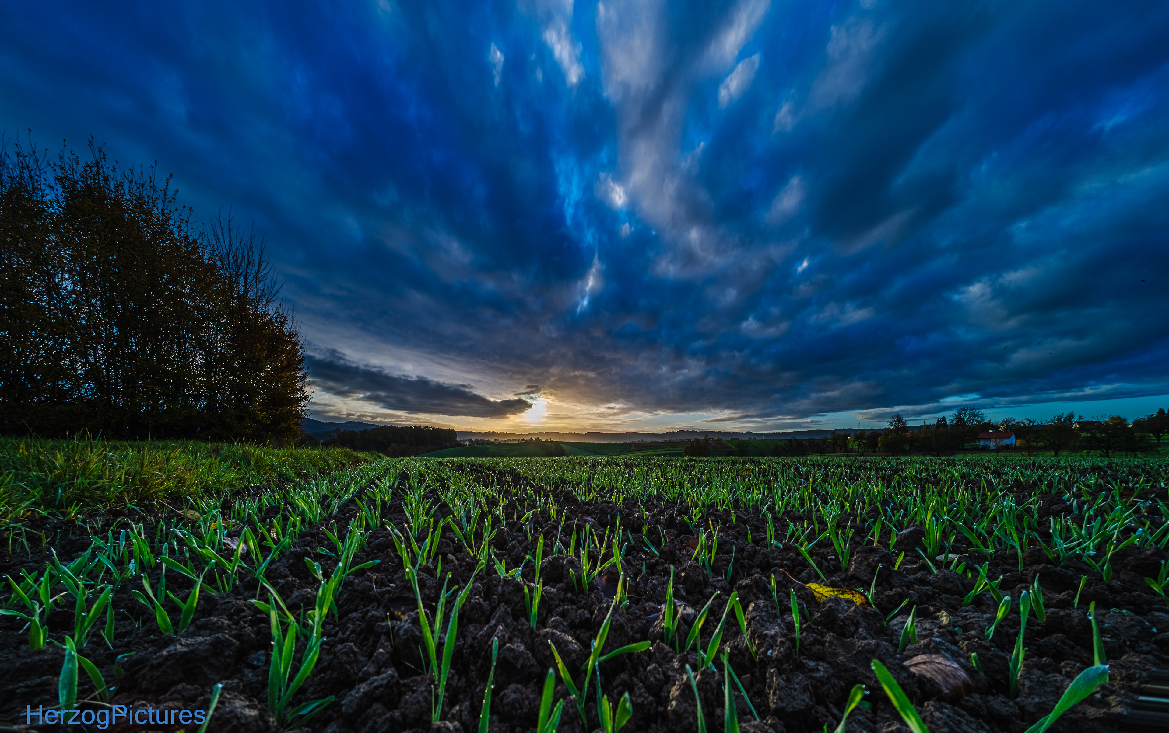 Sonnenaufgang vor Sachsenweiler