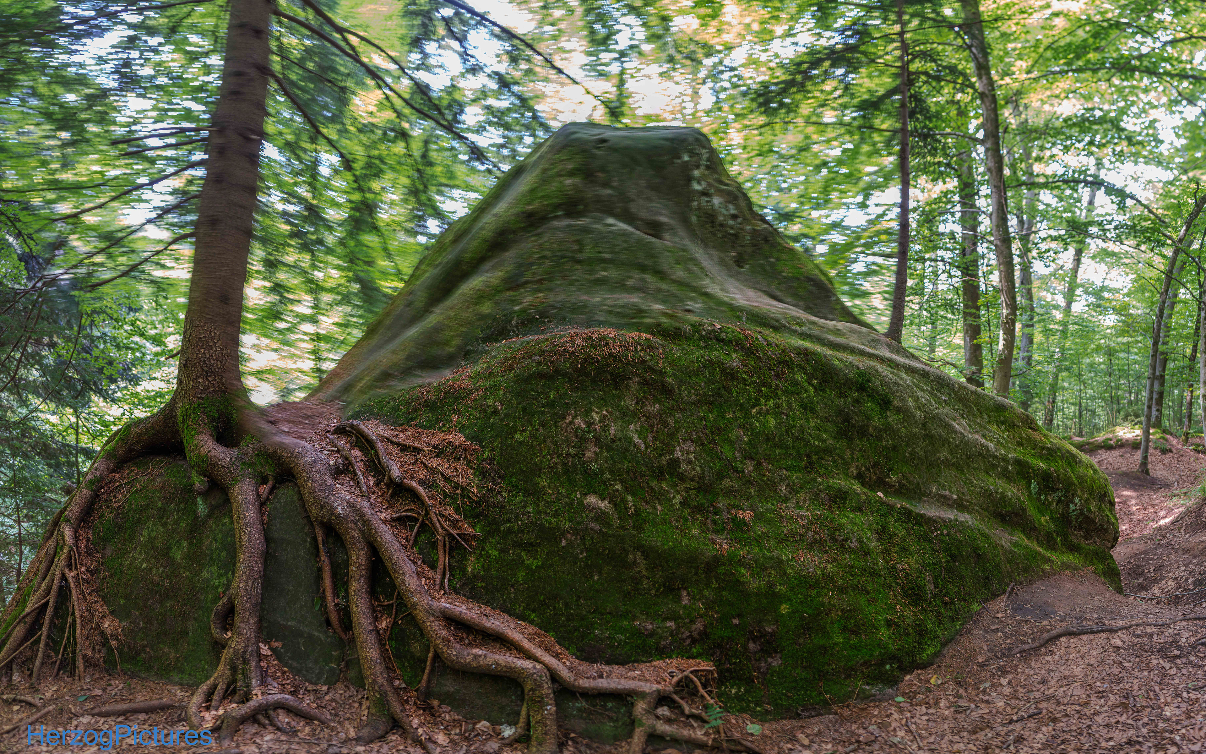 Elefantenstein