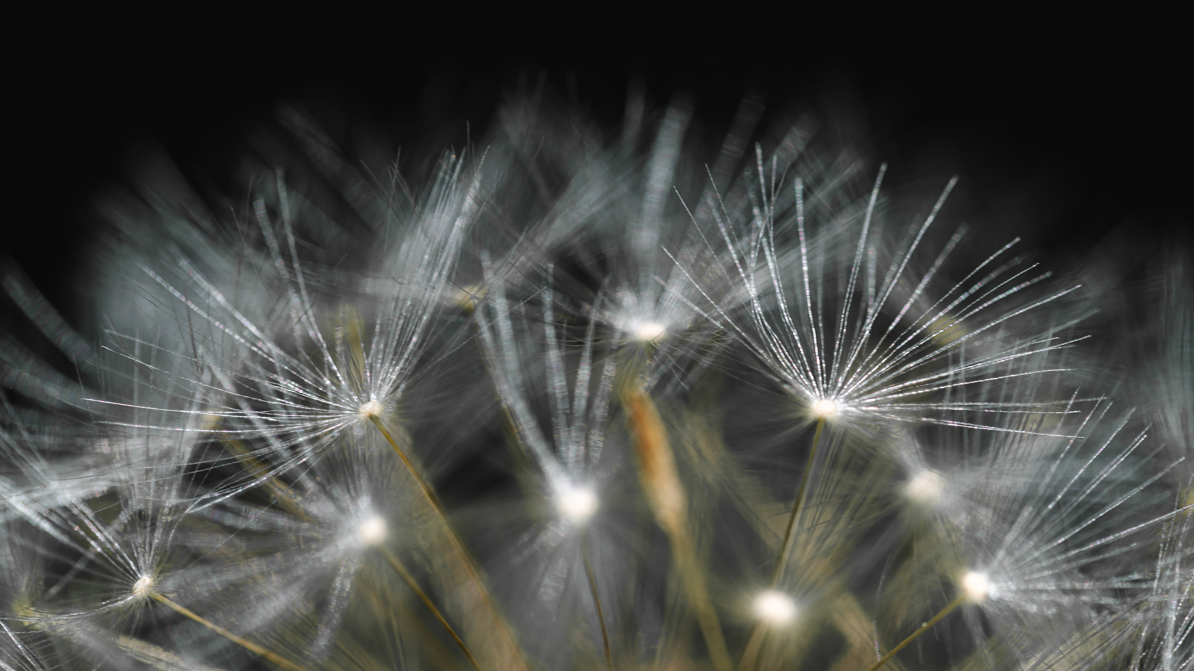 Wunderkerze vom 23.04.2024