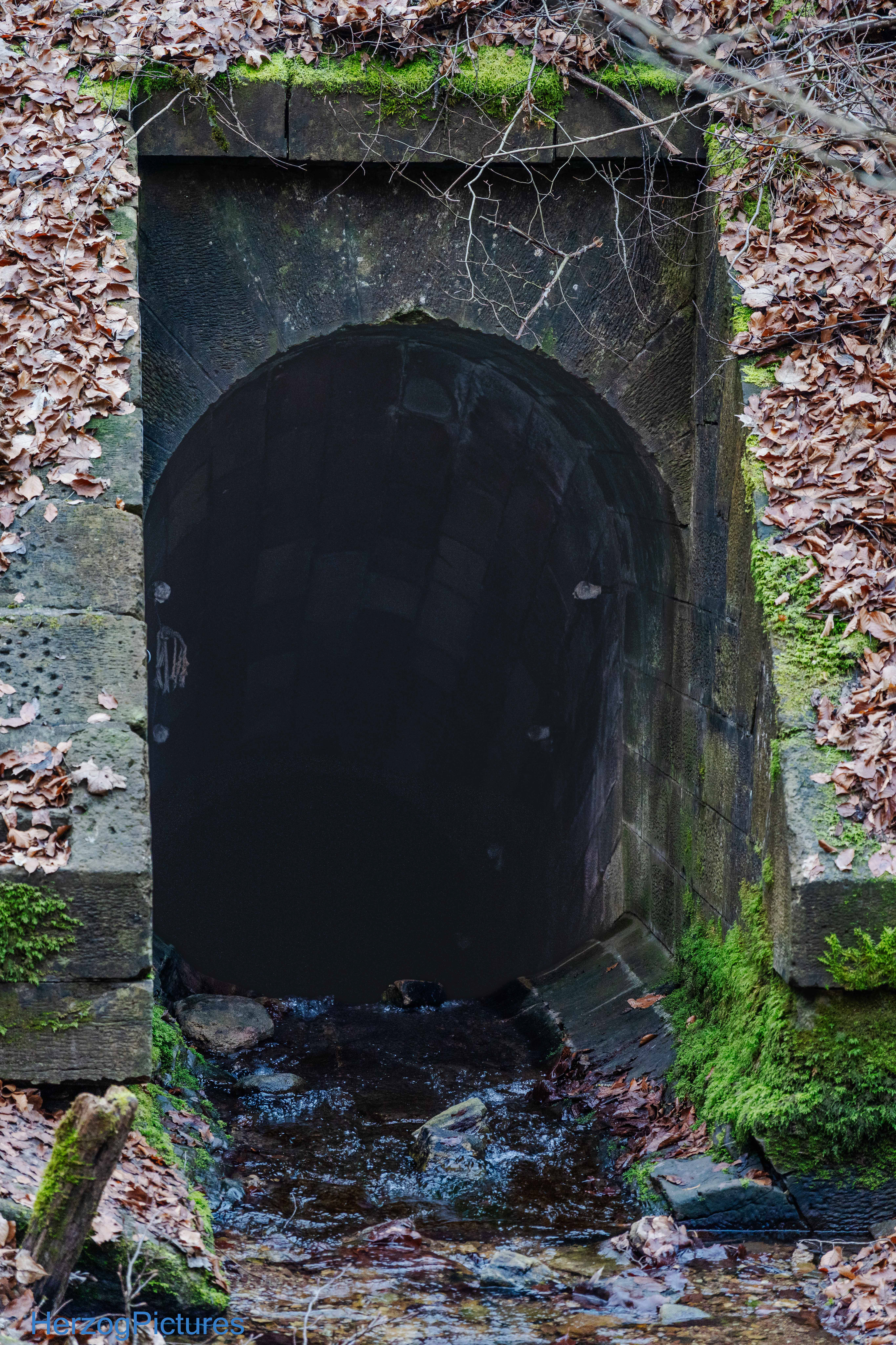 Abfluss durch den Bahndamm hindurch