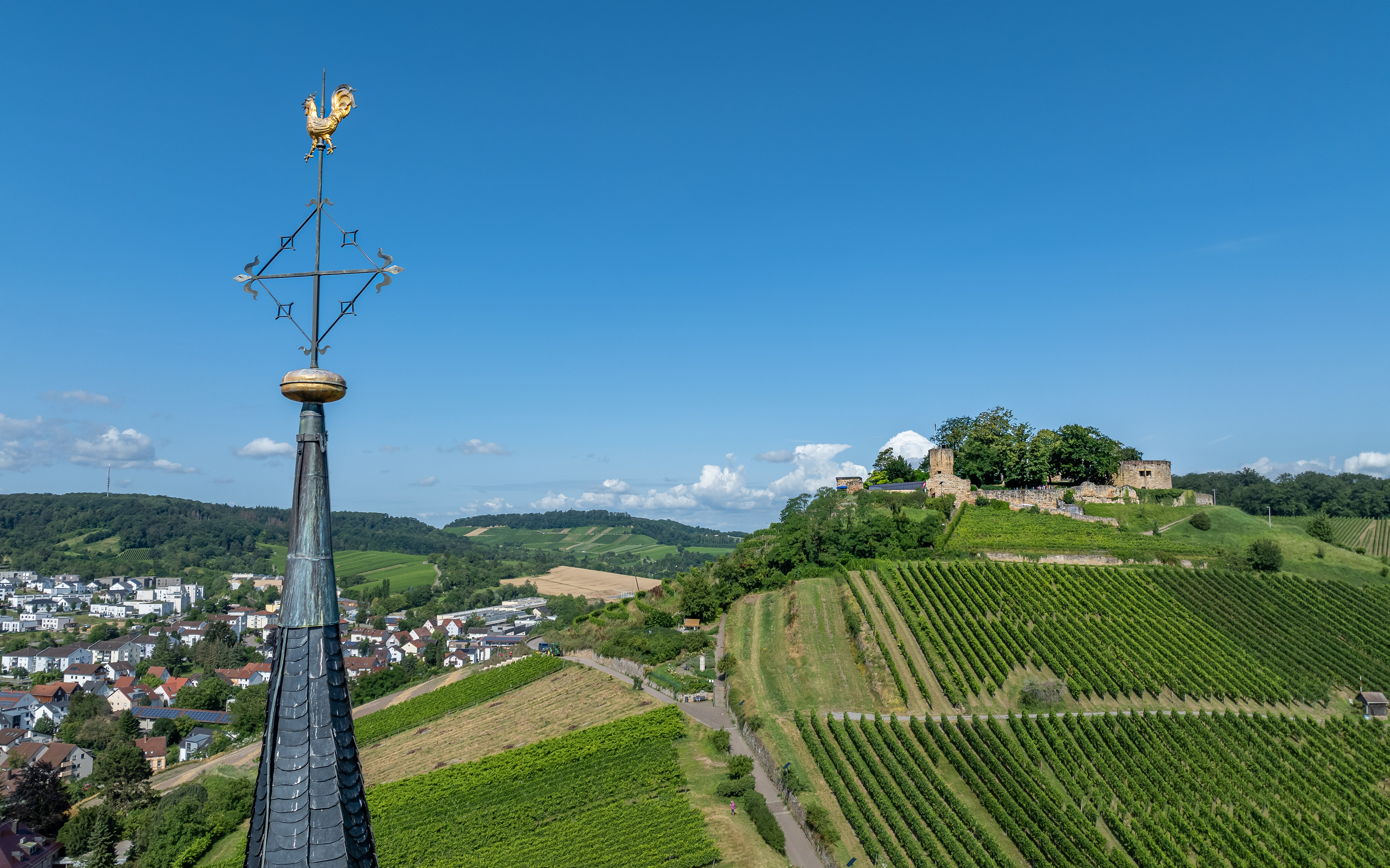 Weibertreu am 17.07.2024 bei Weinsberg