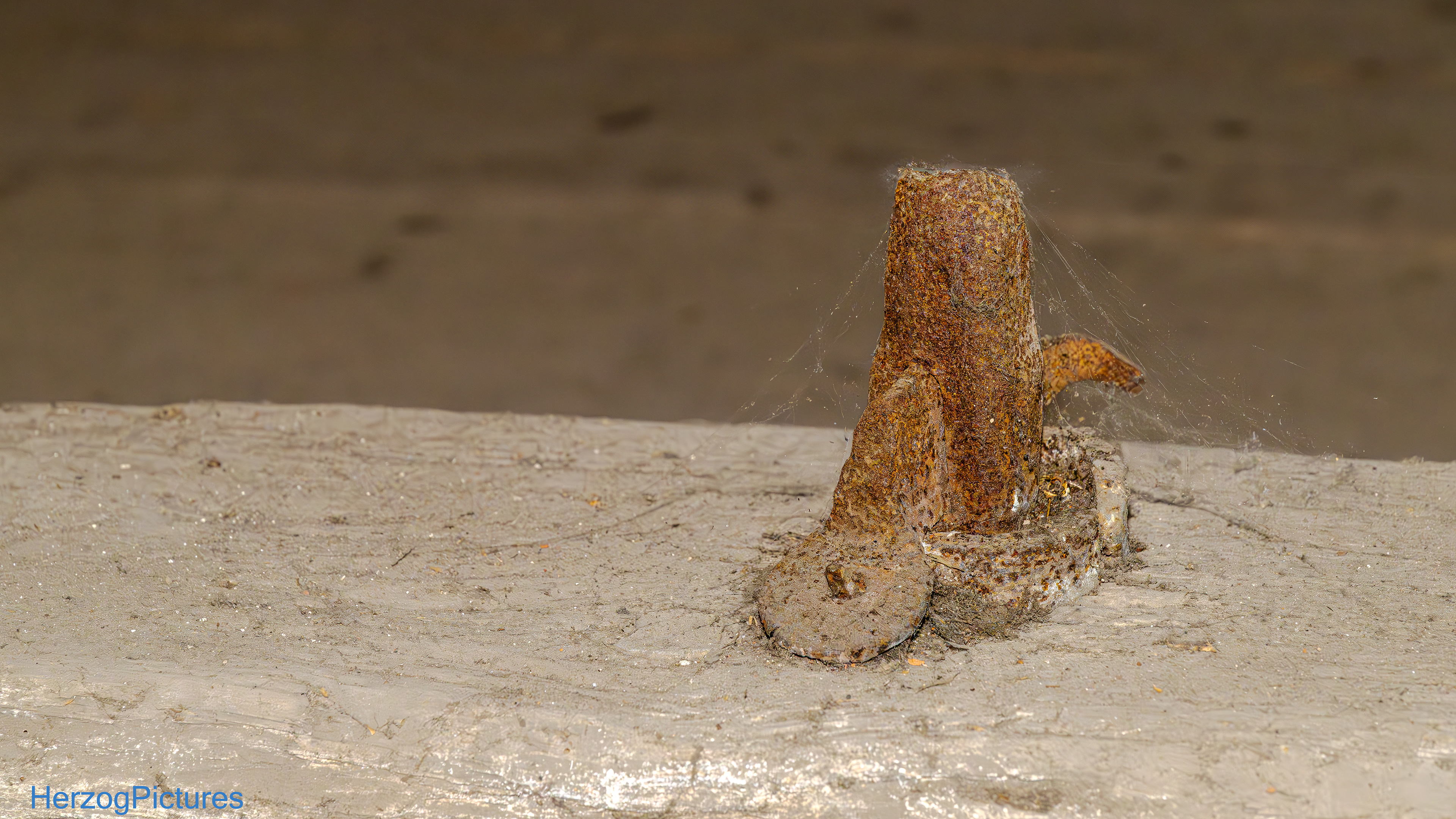 Stabilisierung der Holzdecke