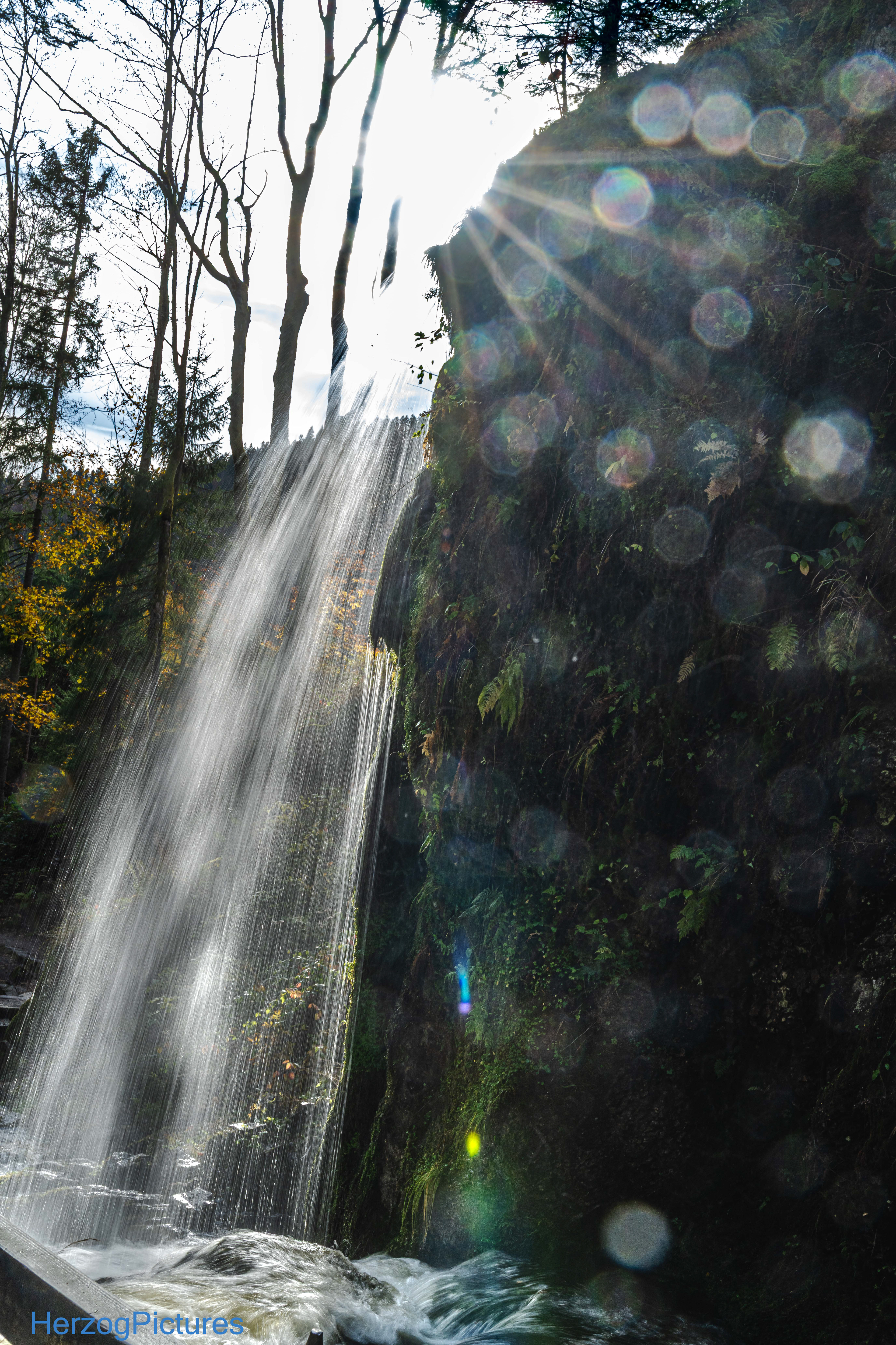 Menzenschwand Wasserfall 2025