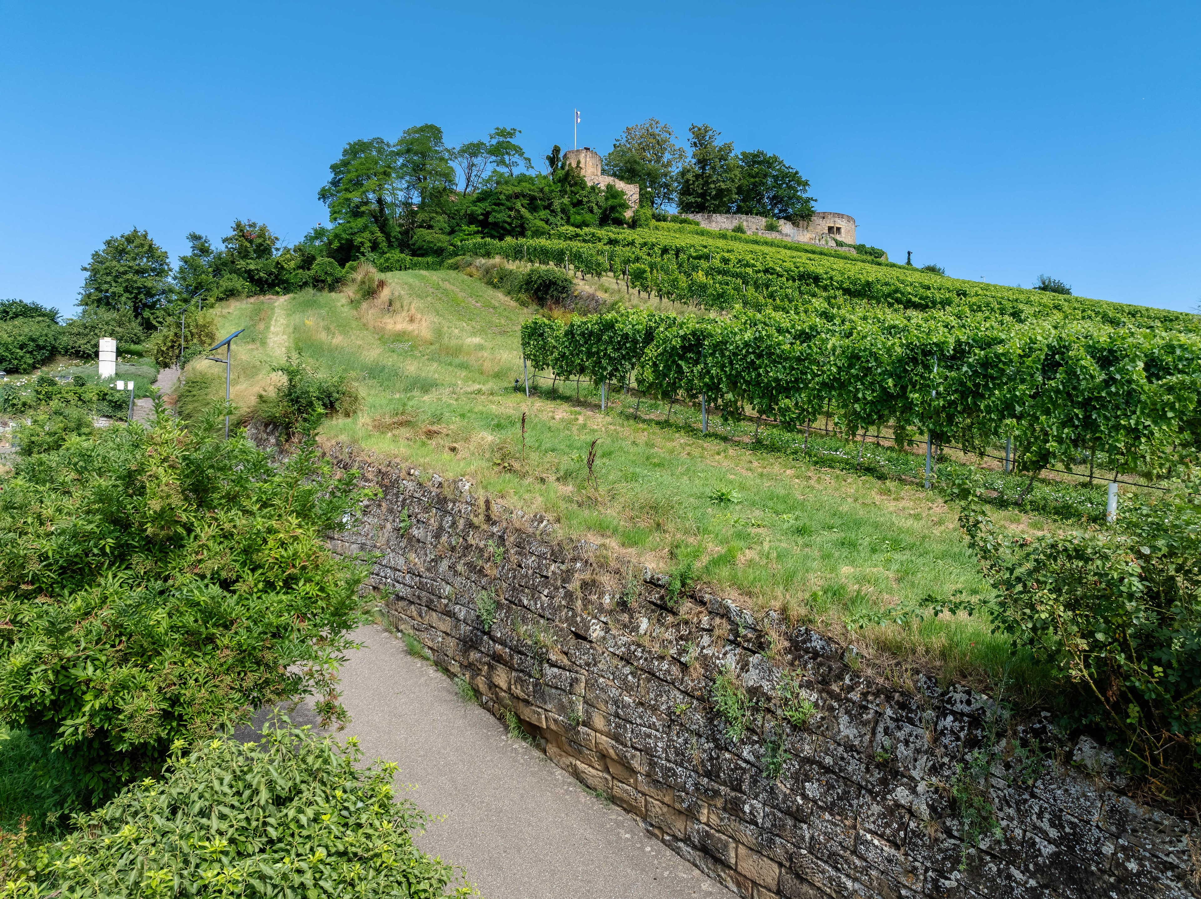 Burgruine Weibertreu