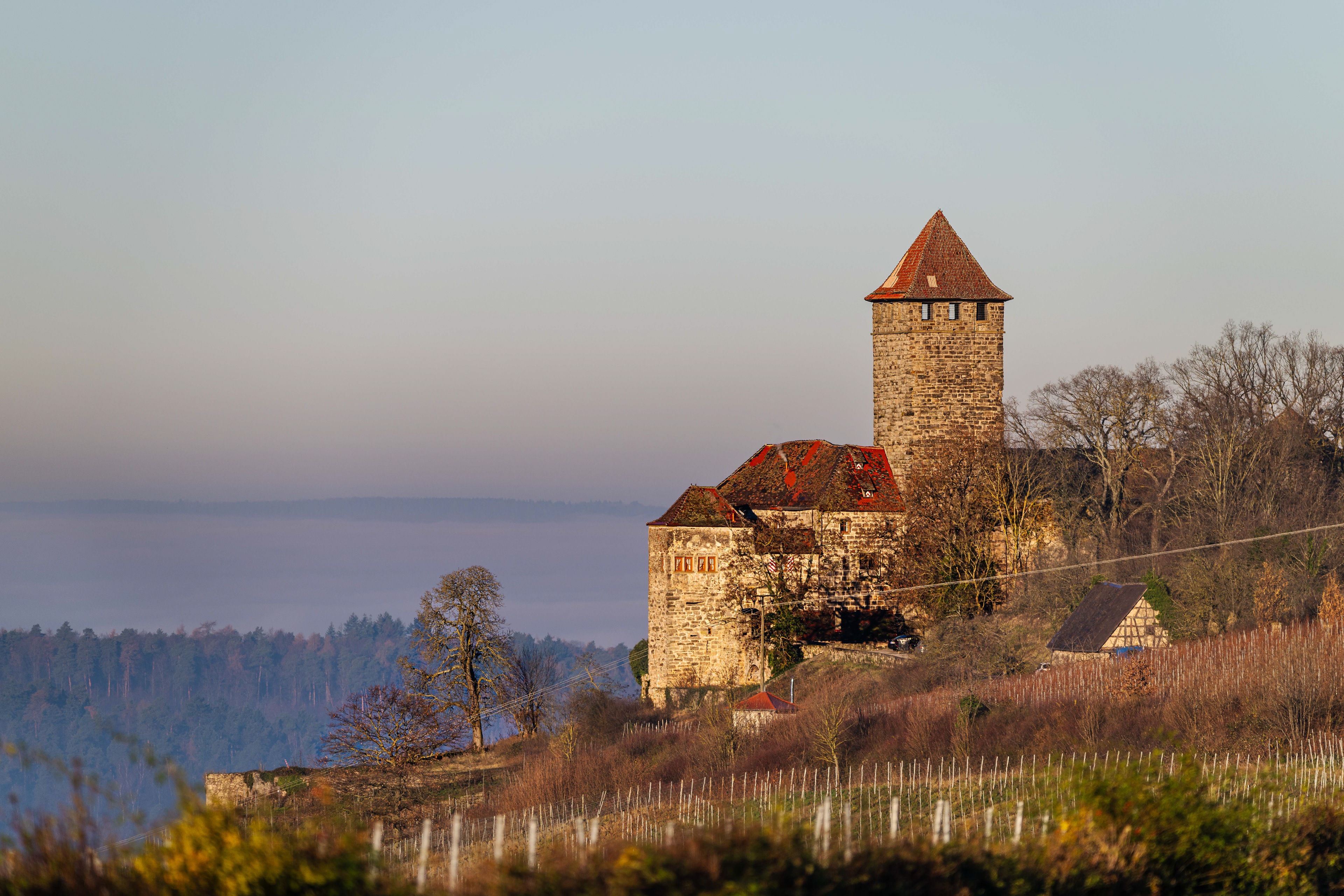 Burg Lichtenberg