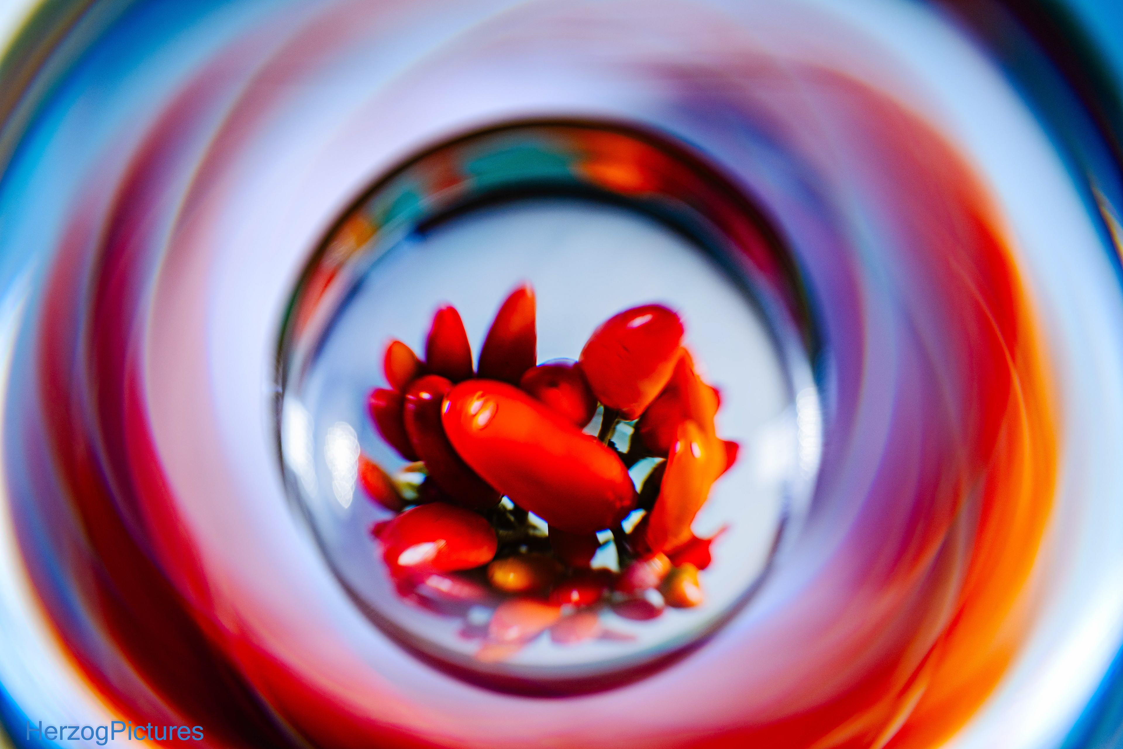 Scharfes im Glas am 10. Januar 2026