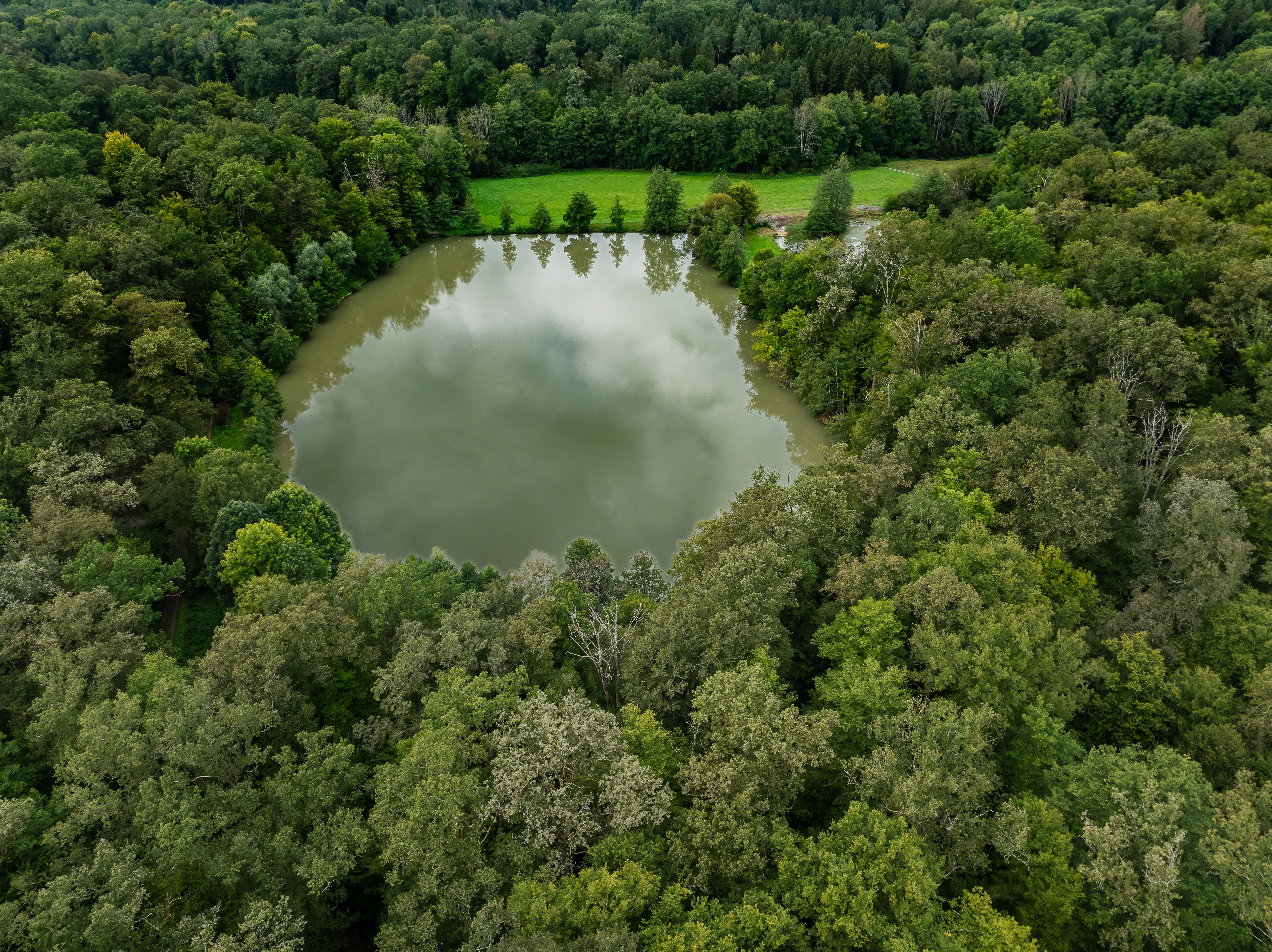 Feuersee Hardtwaldsee am 06.08.2024