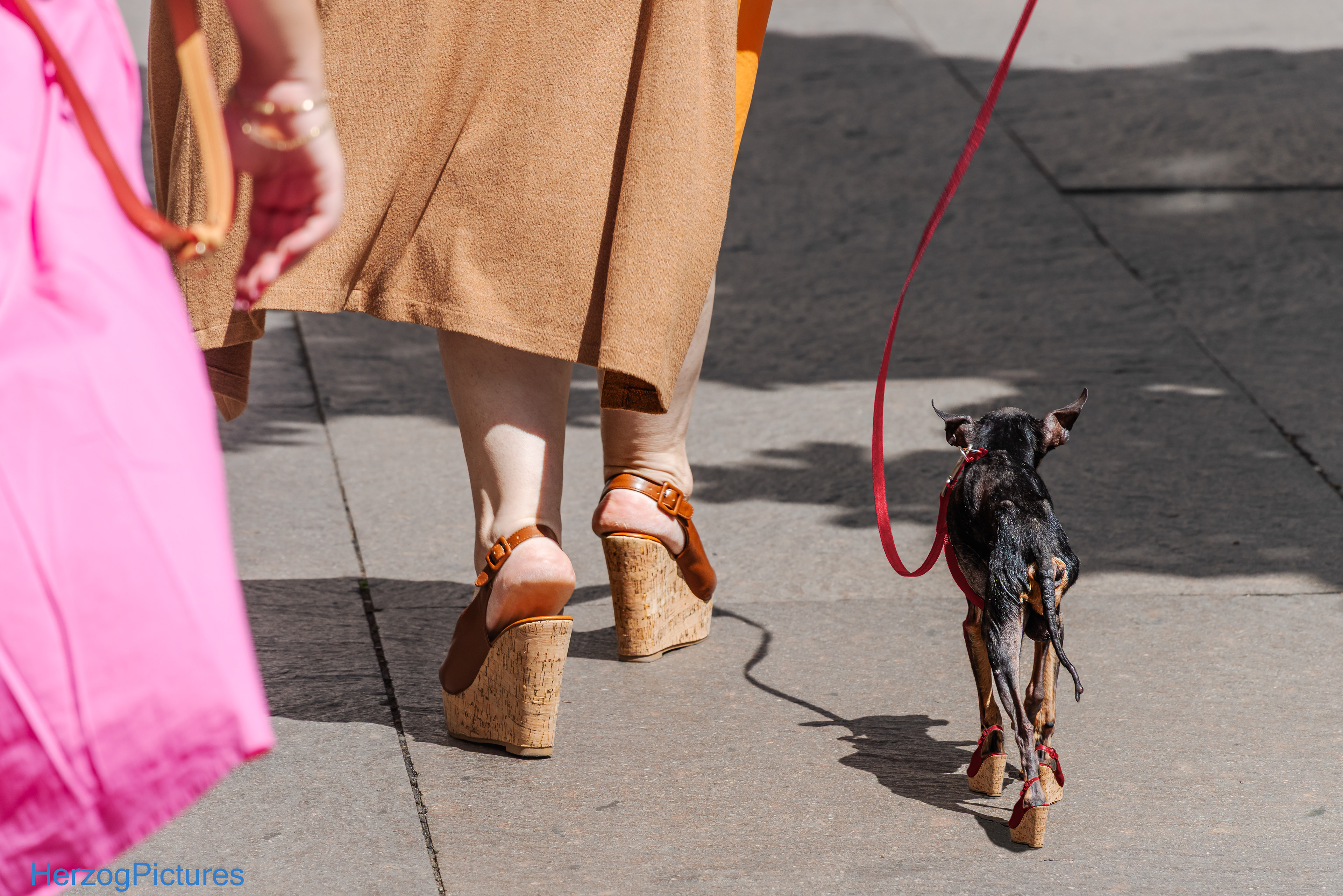 Bozener Impressionen am 29. Mai 2025