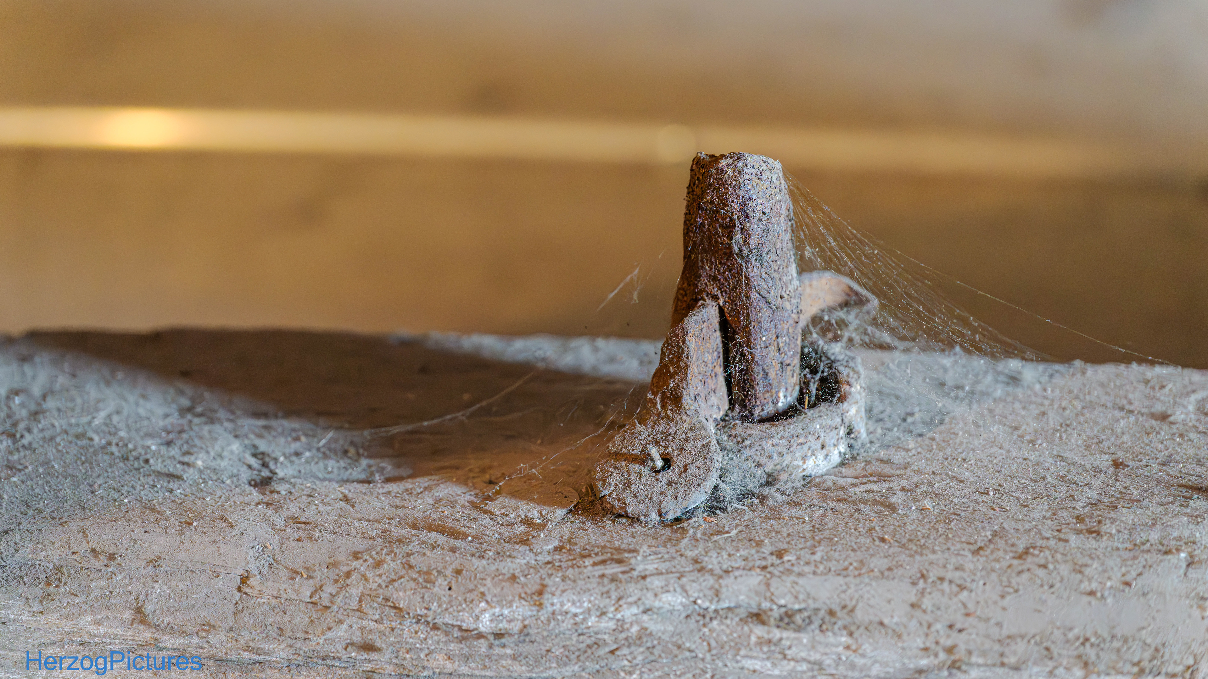 Stabilisierung der Holzdecke - Oberteil