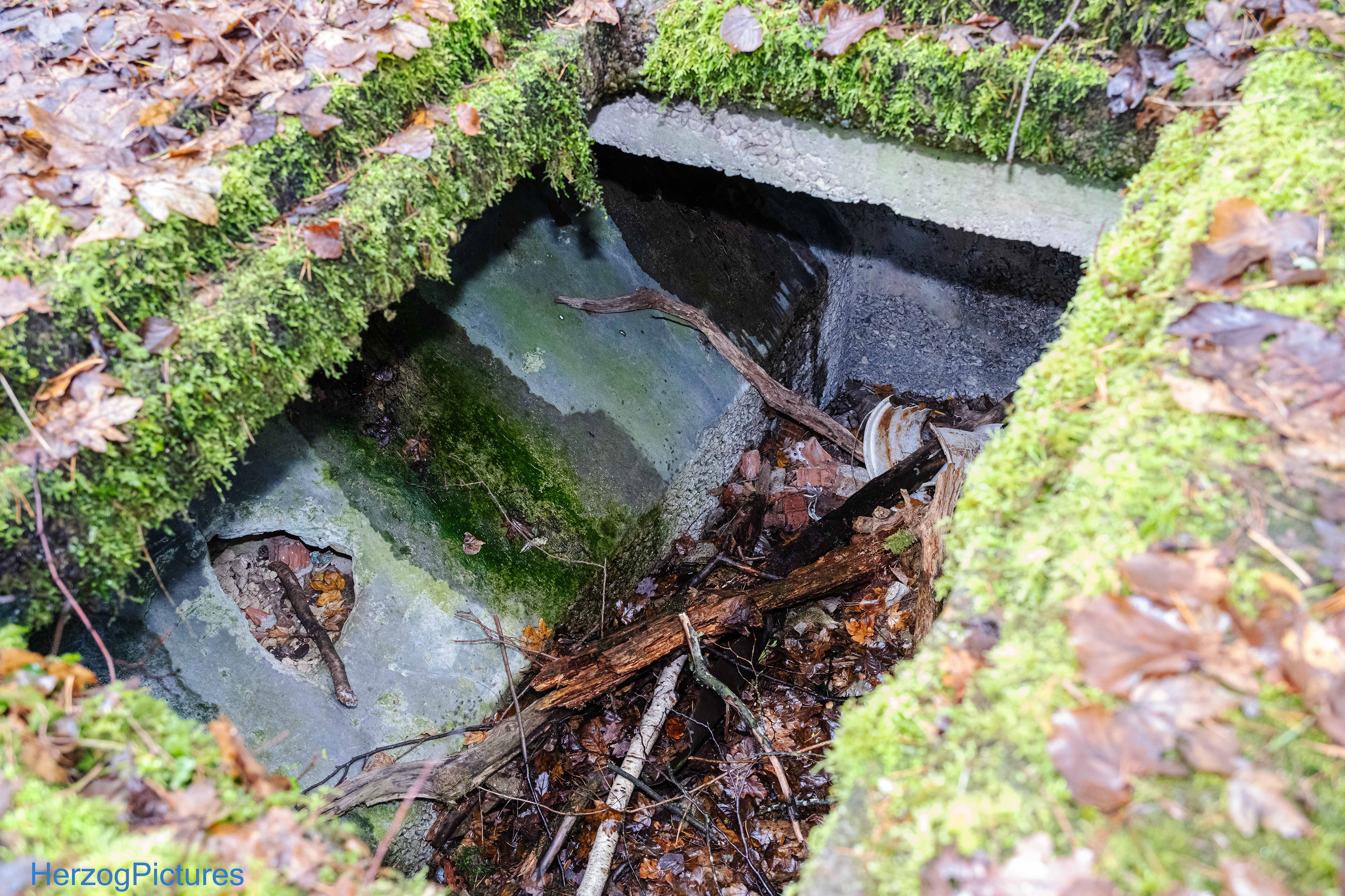 Latrinengrube