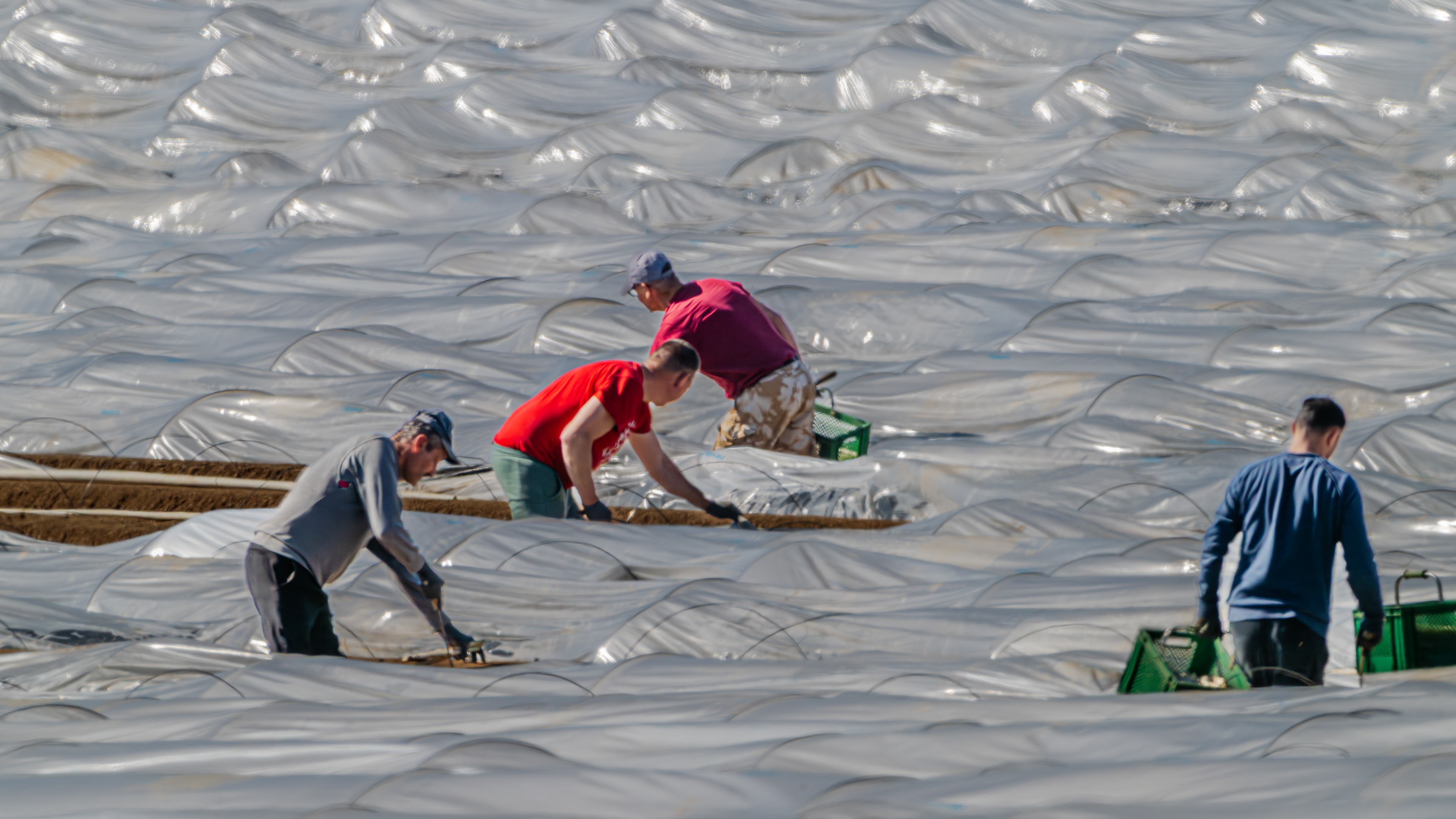 Spargelbaden am 04.04.2025