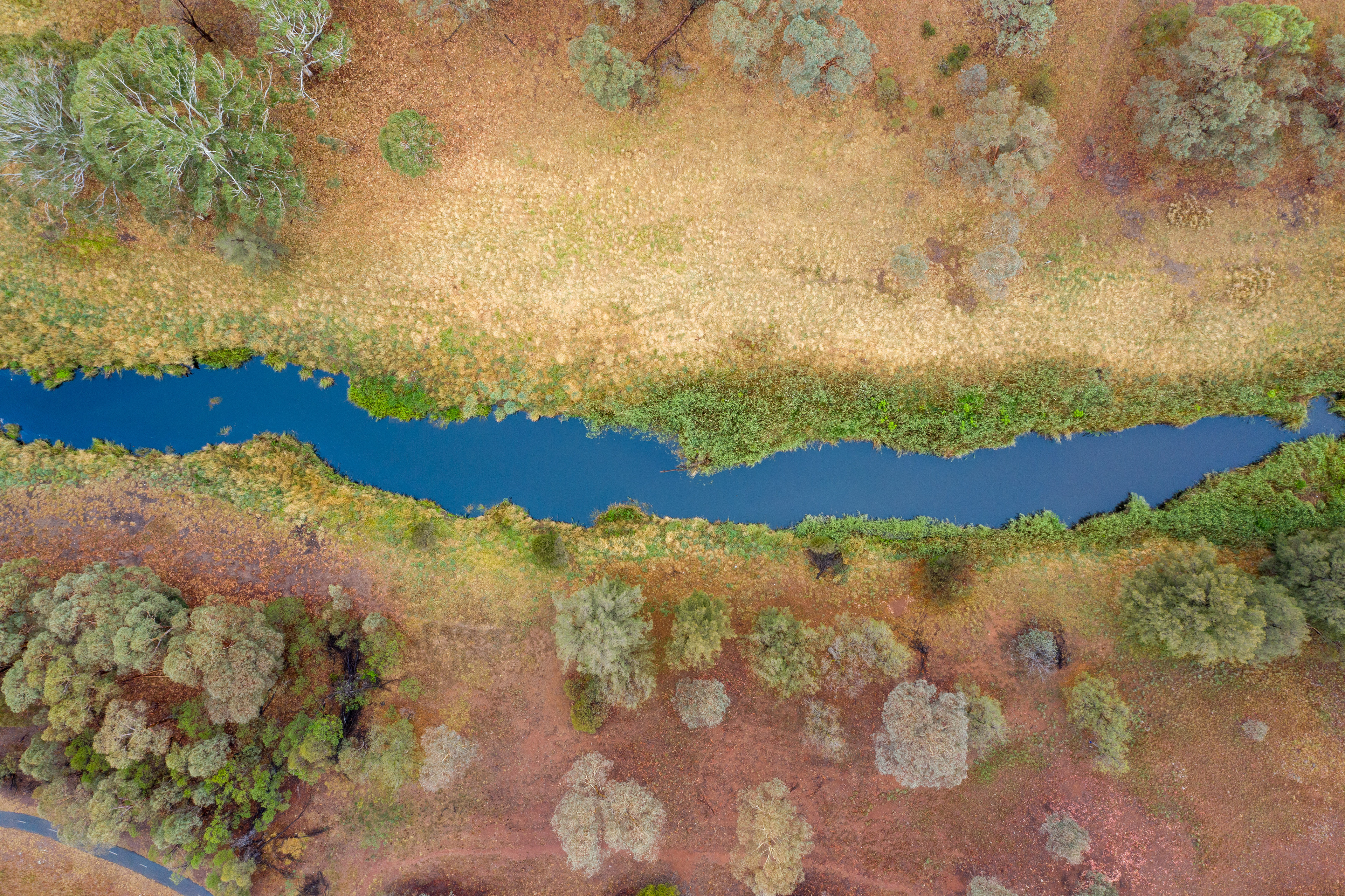A creek from above