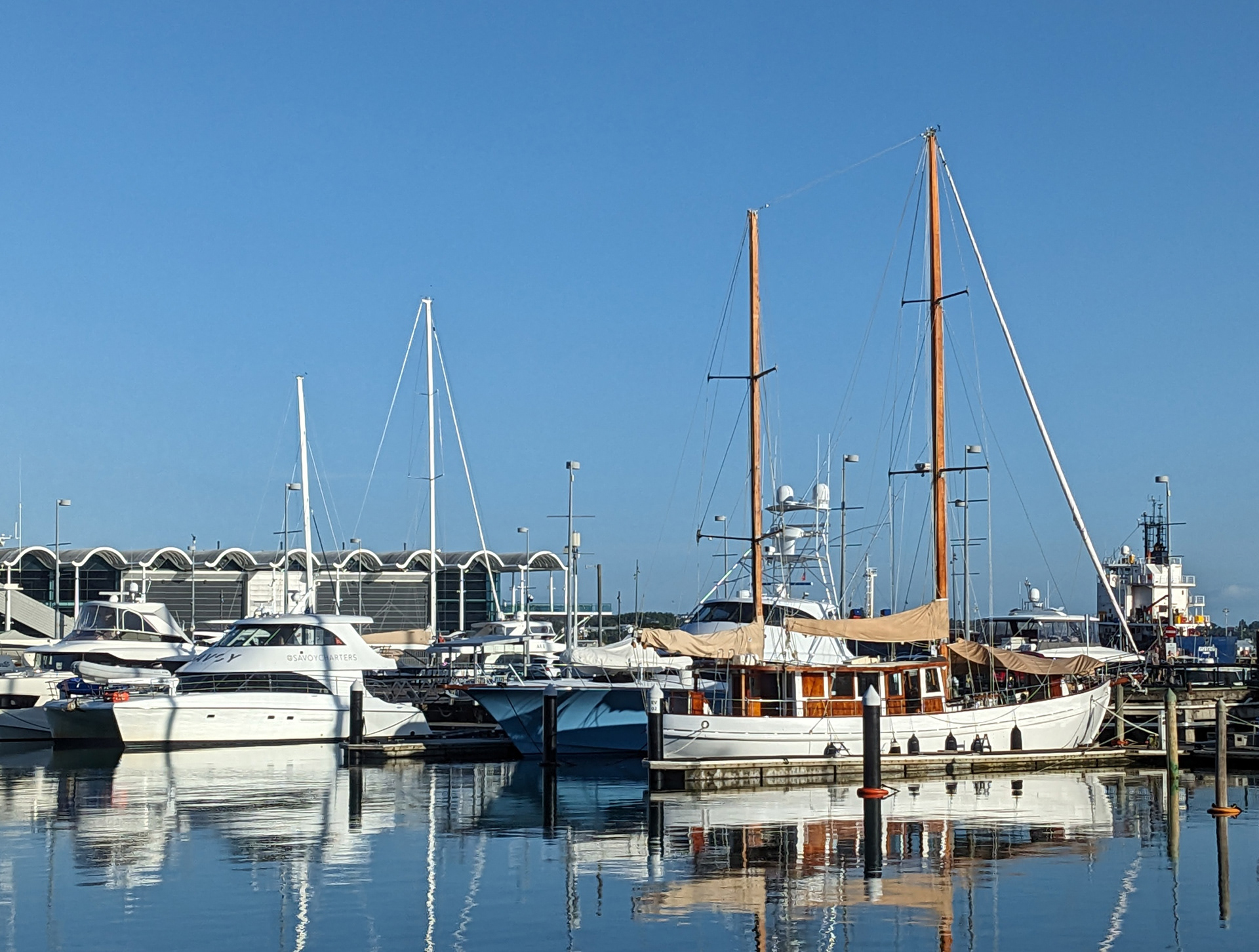 Viaduct Harbour - Auckland