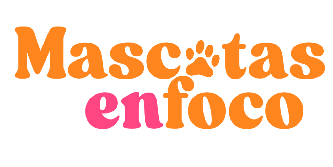 mascotas en foco