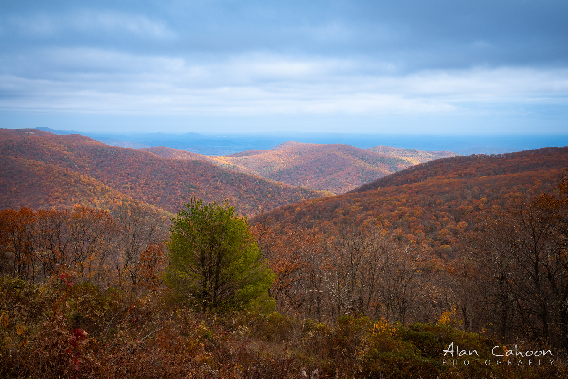 Skyline Drive Overlook