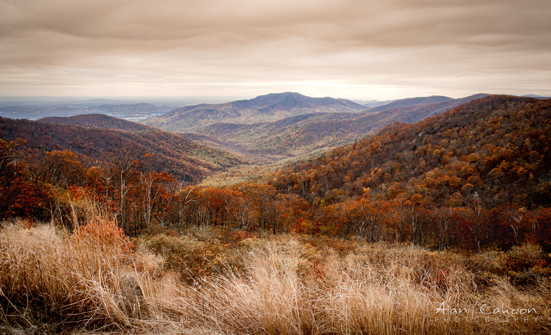 Skyline Drive Overlook