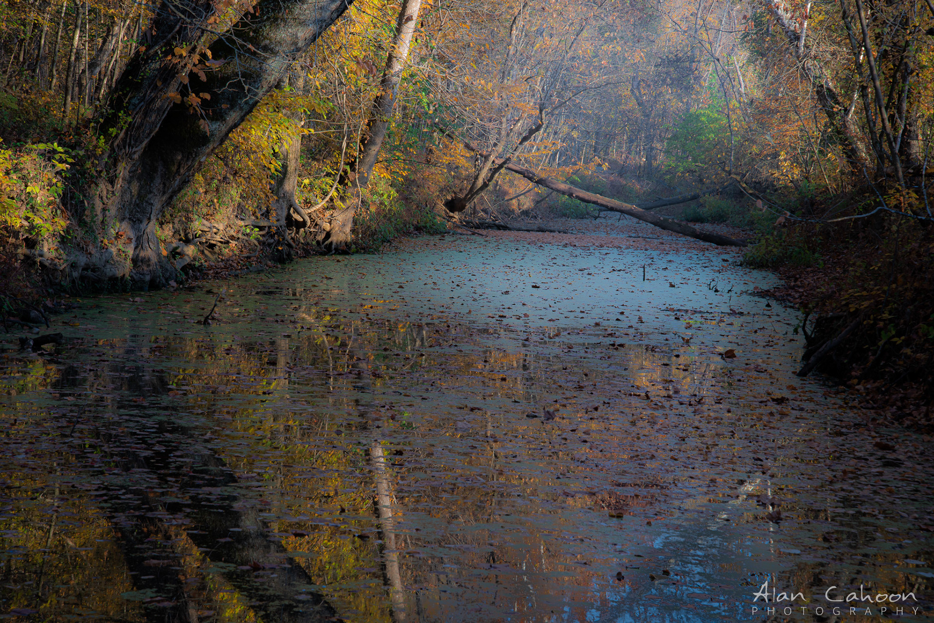 Canal Trail, Great Falls Park